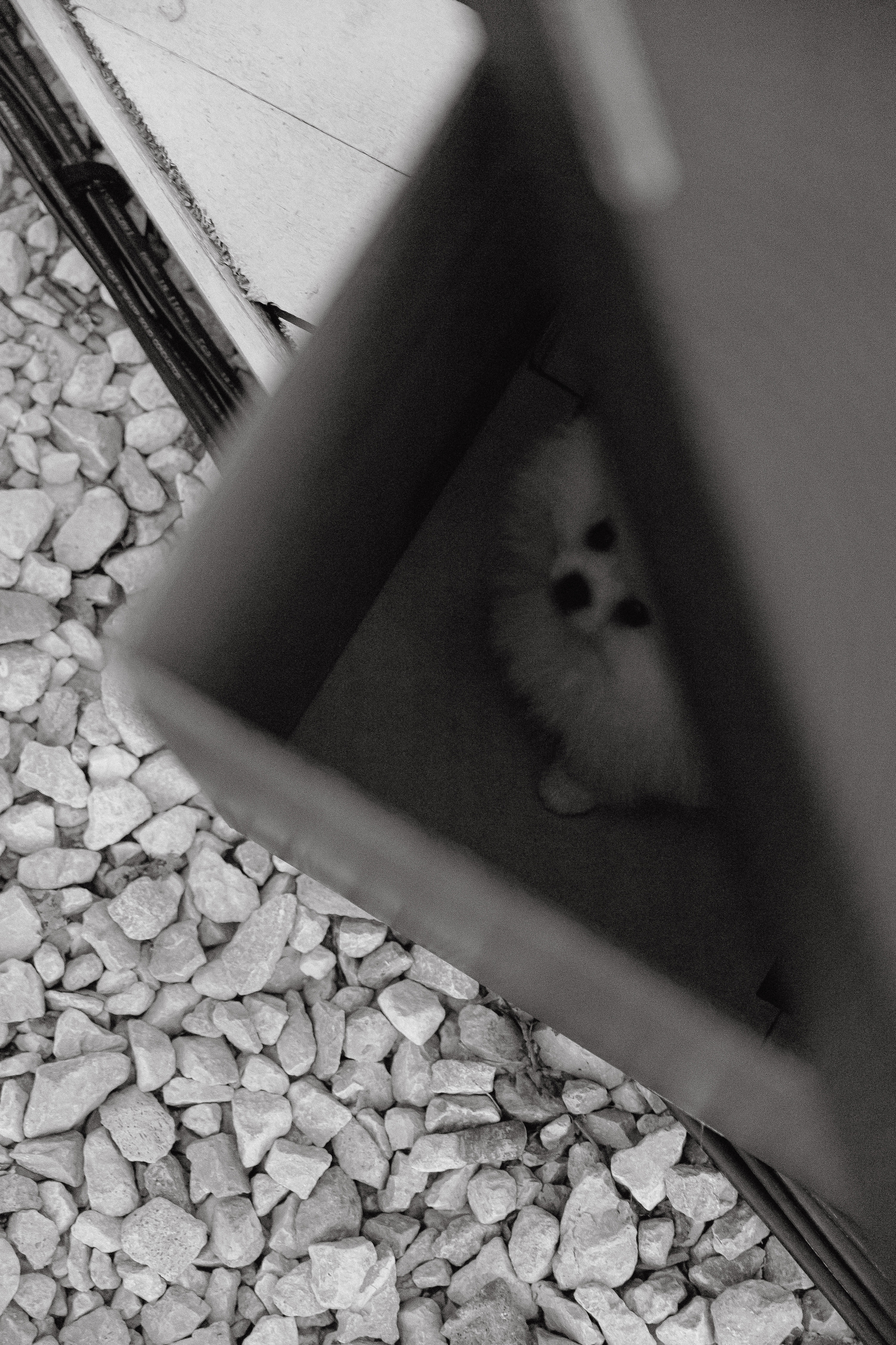 Моя искра. Свадебный и портретный фотограф Казань/Москва/СПБ Елькина Юлия