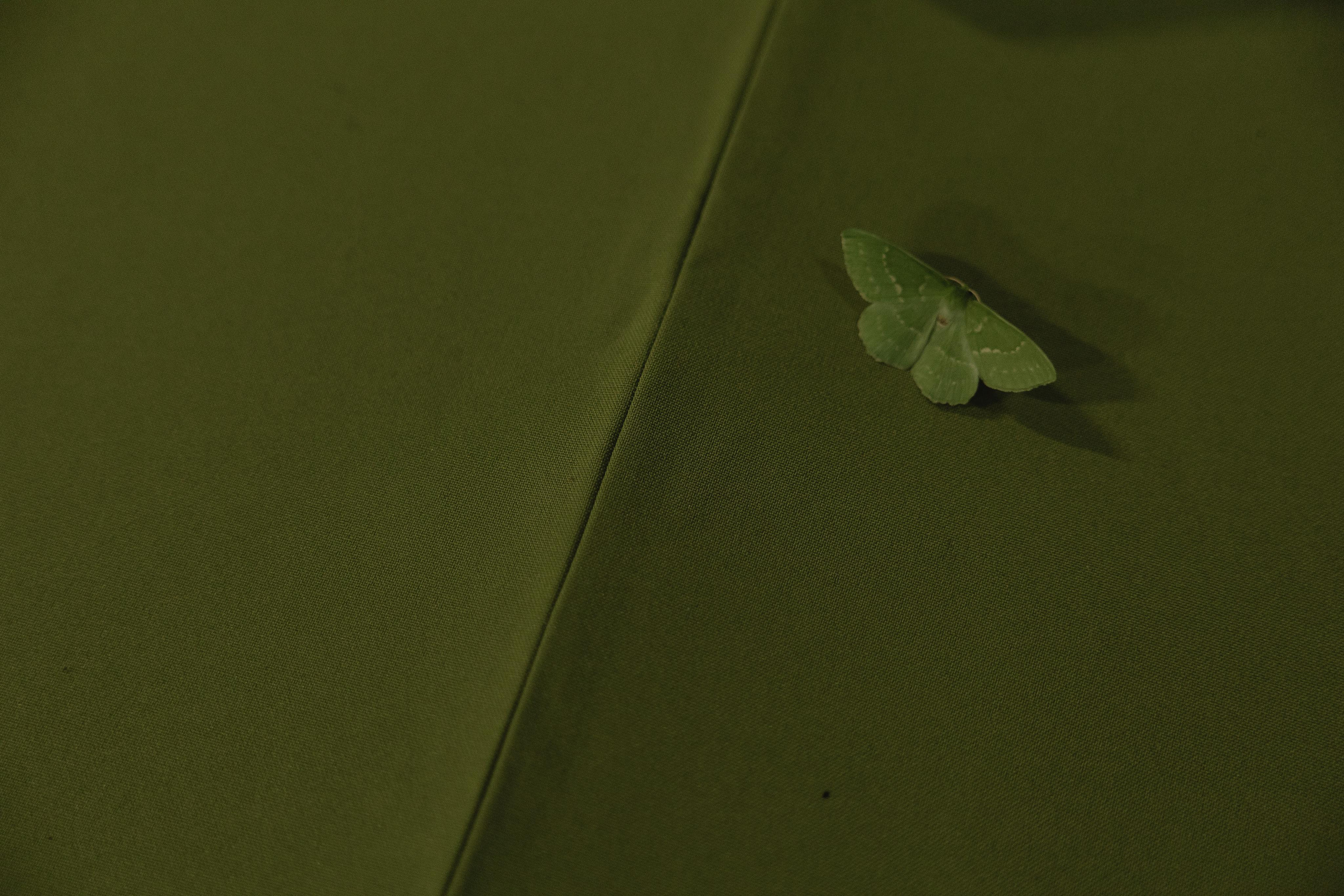 LOVELOVELOVE. Свадебный и портретный фотограф Казань/Москва/СПБ Елькина Юлия