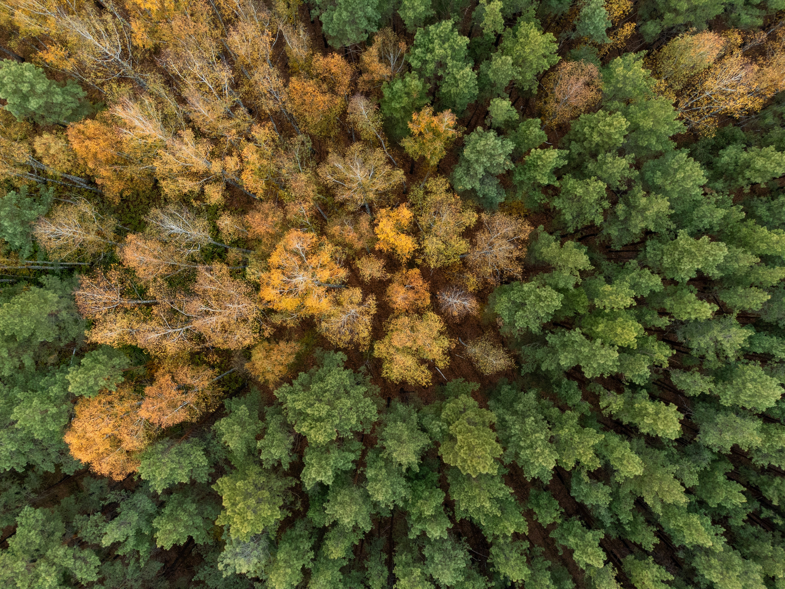 Курганская область. Daria wanderer photography