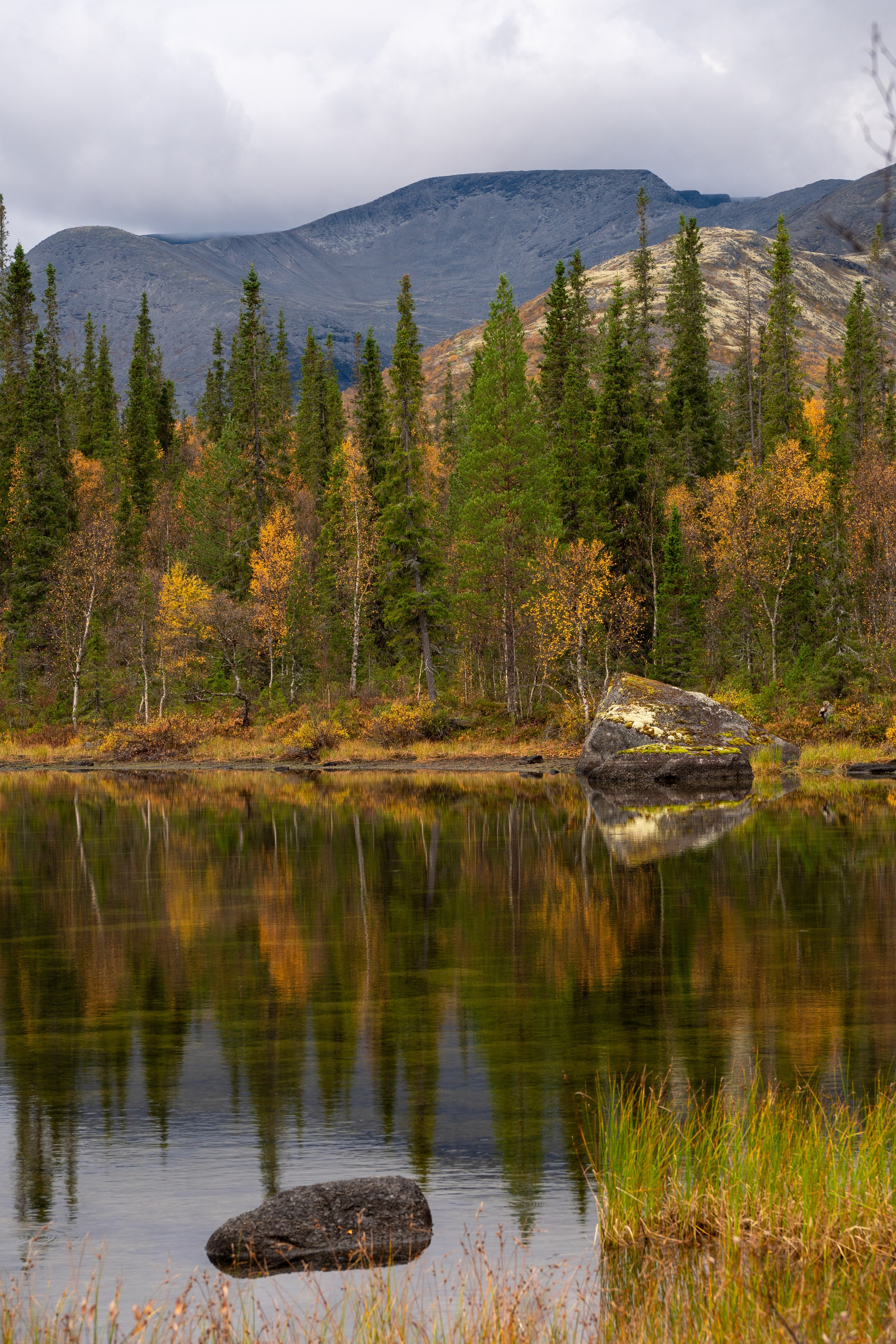 Золотая осень в Хибинах. Daria wanderer photography