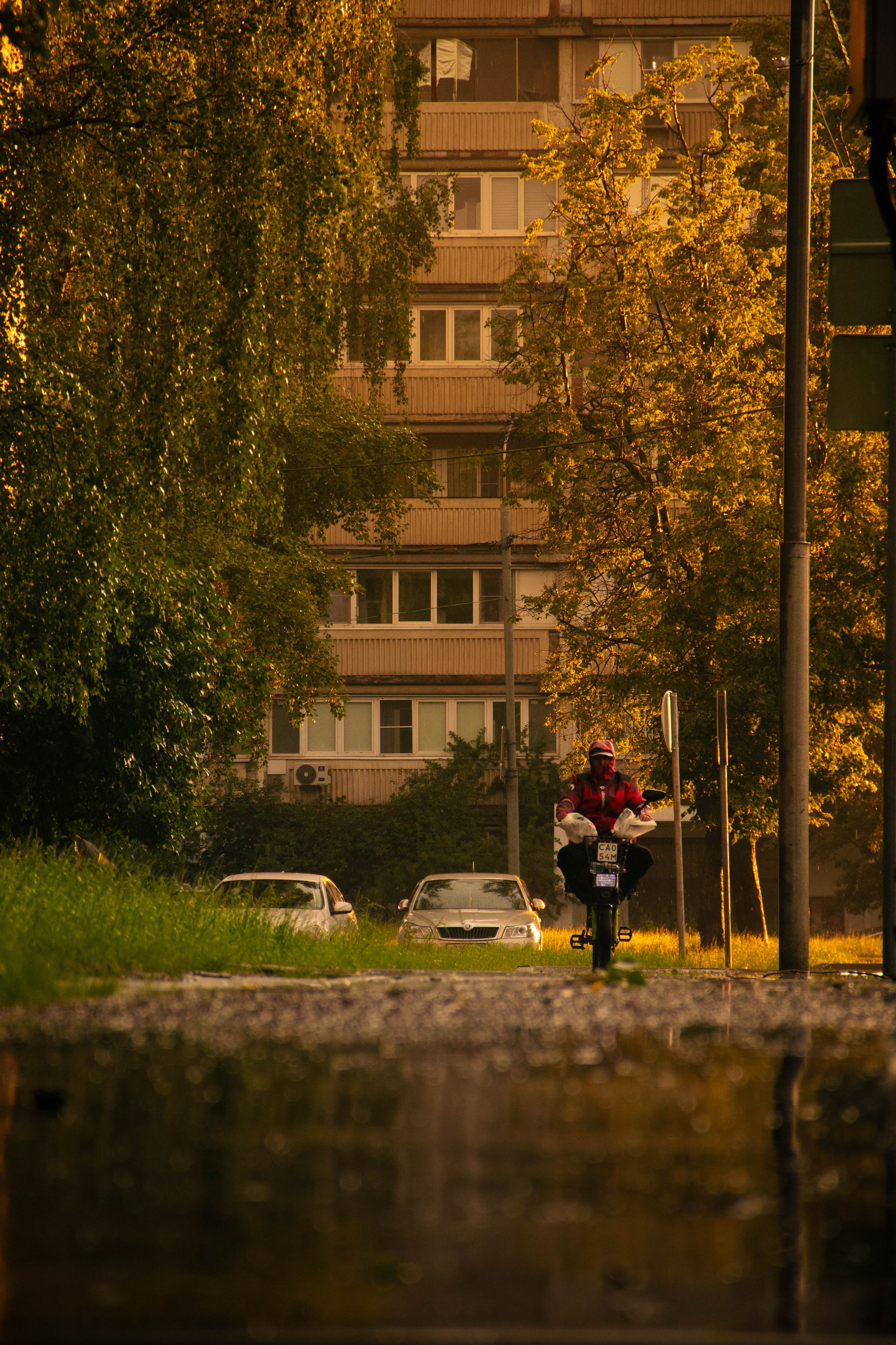 Nature. Фотограф/Видеограф
