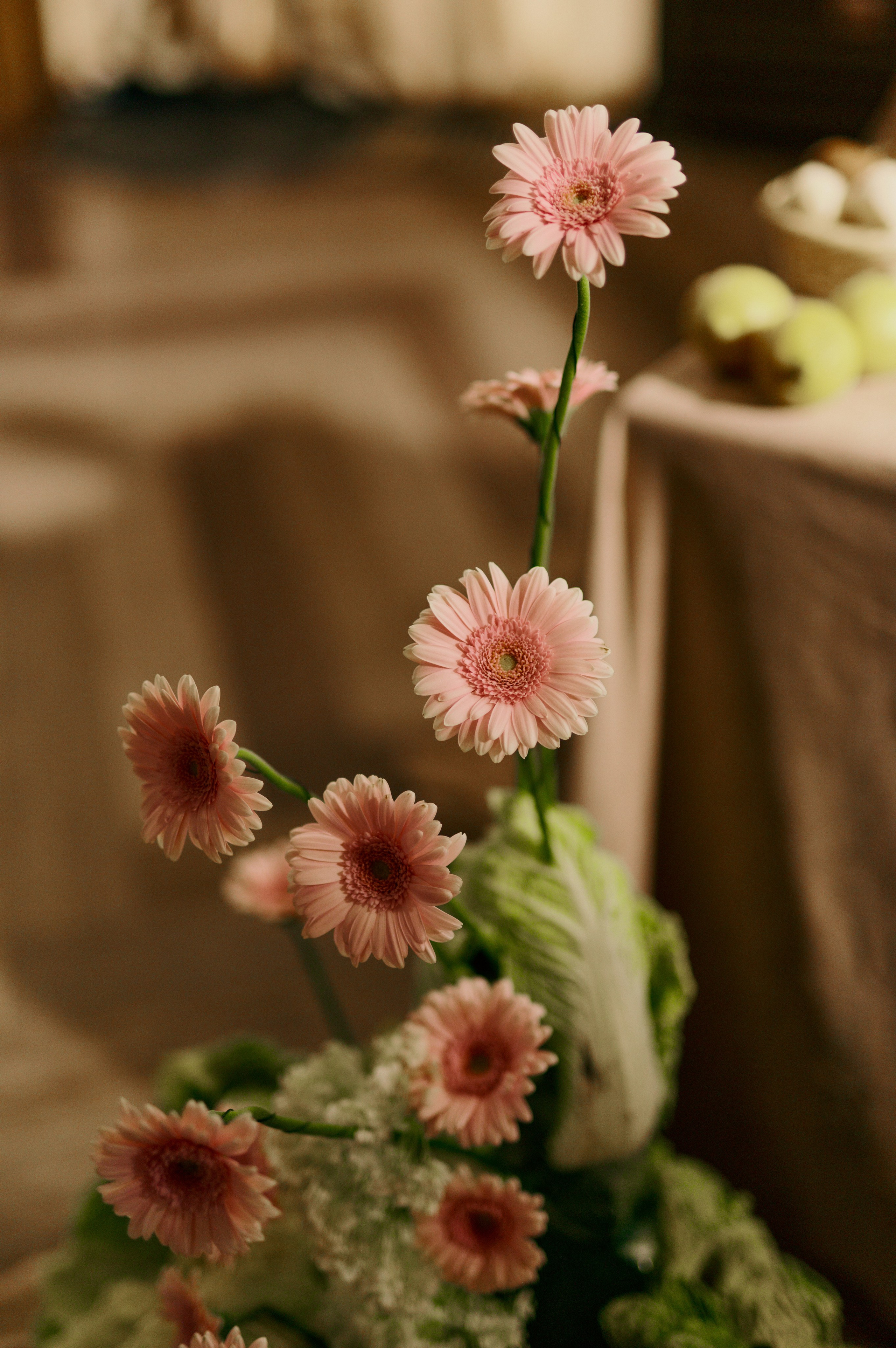 ИВАН И ДАРЬЯ 21|06|25. Свадебное агентство Ива-ивент