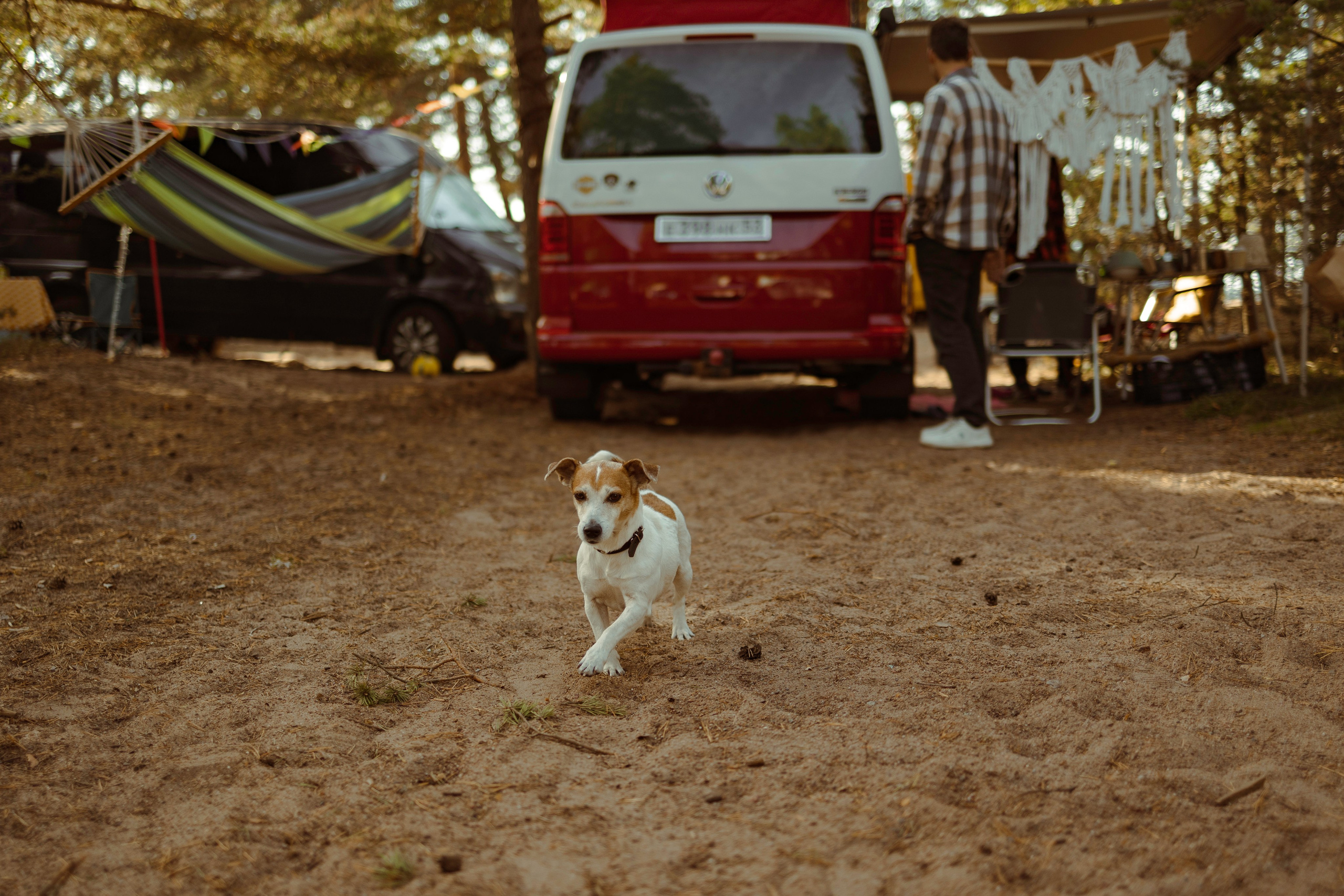 Фестиваль Hello Camper закрытие 2023. Репортажный и портретный фотограф в Санктпетербурге. Видиосъемка мероприятий в Санкт-Петербурге