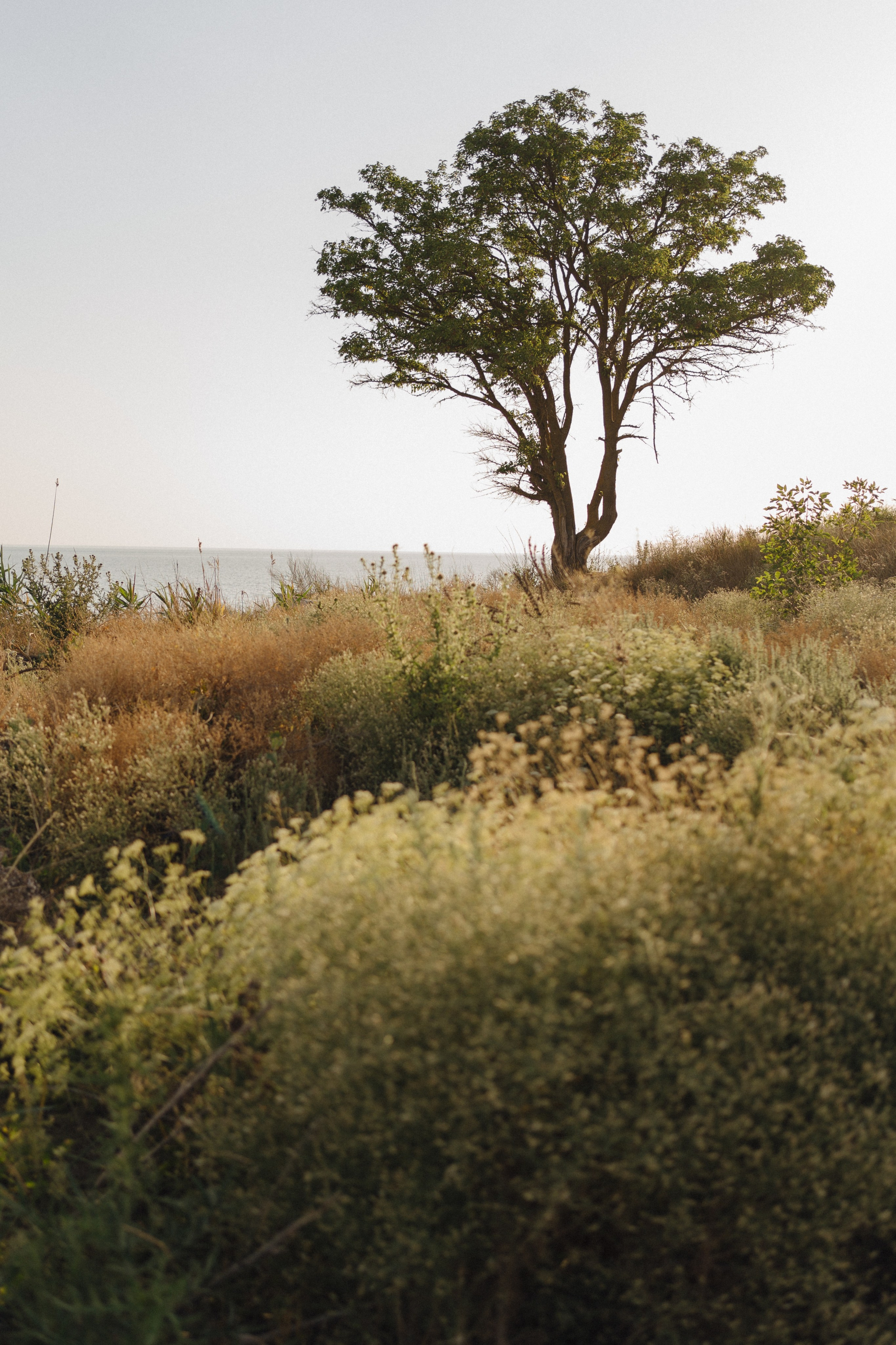 Сила в семье. Свадебный фотограф в Краснодаре и Сочи Винидиктова Екатерина