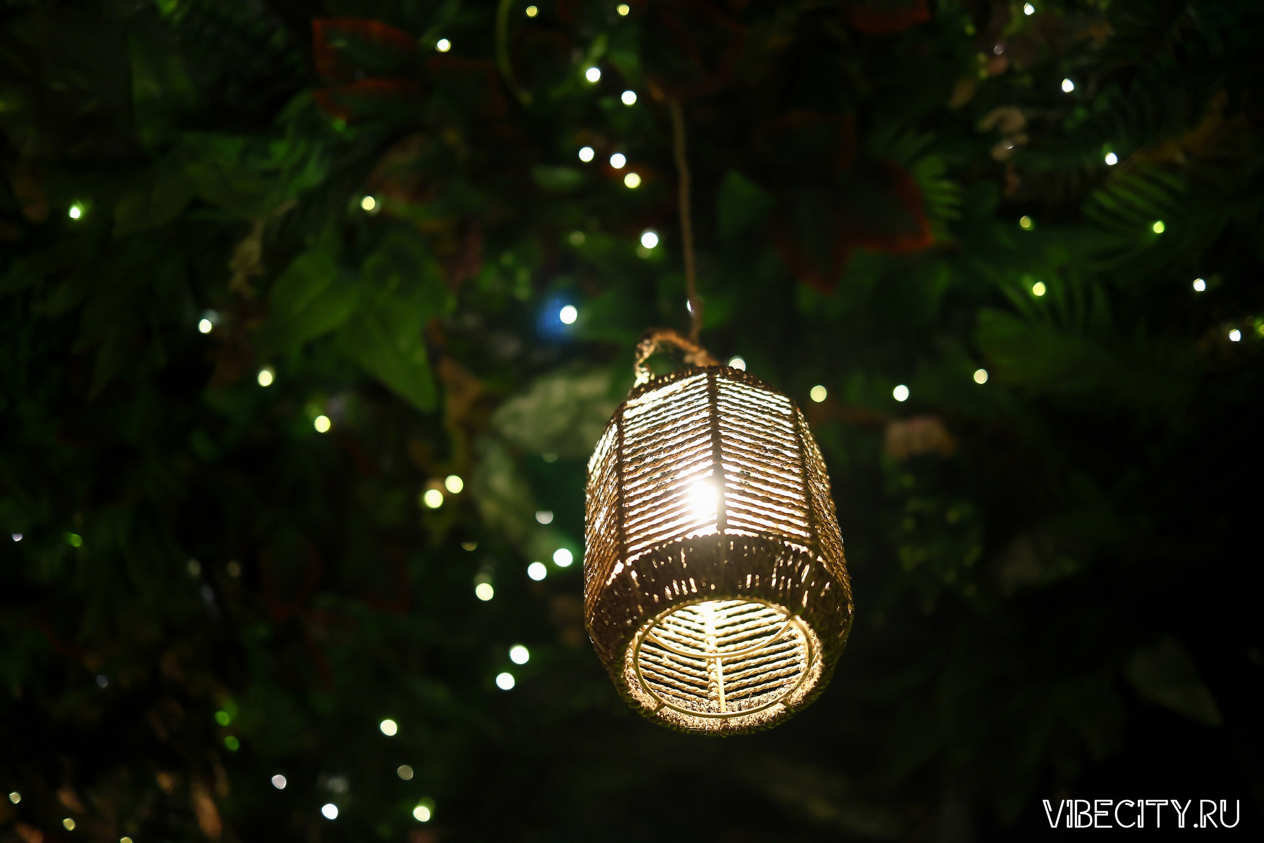 DOUBLE U. VIBECITY.RU Вайб Сити Ру Фоторепортажи Фотоотчеты Калининград