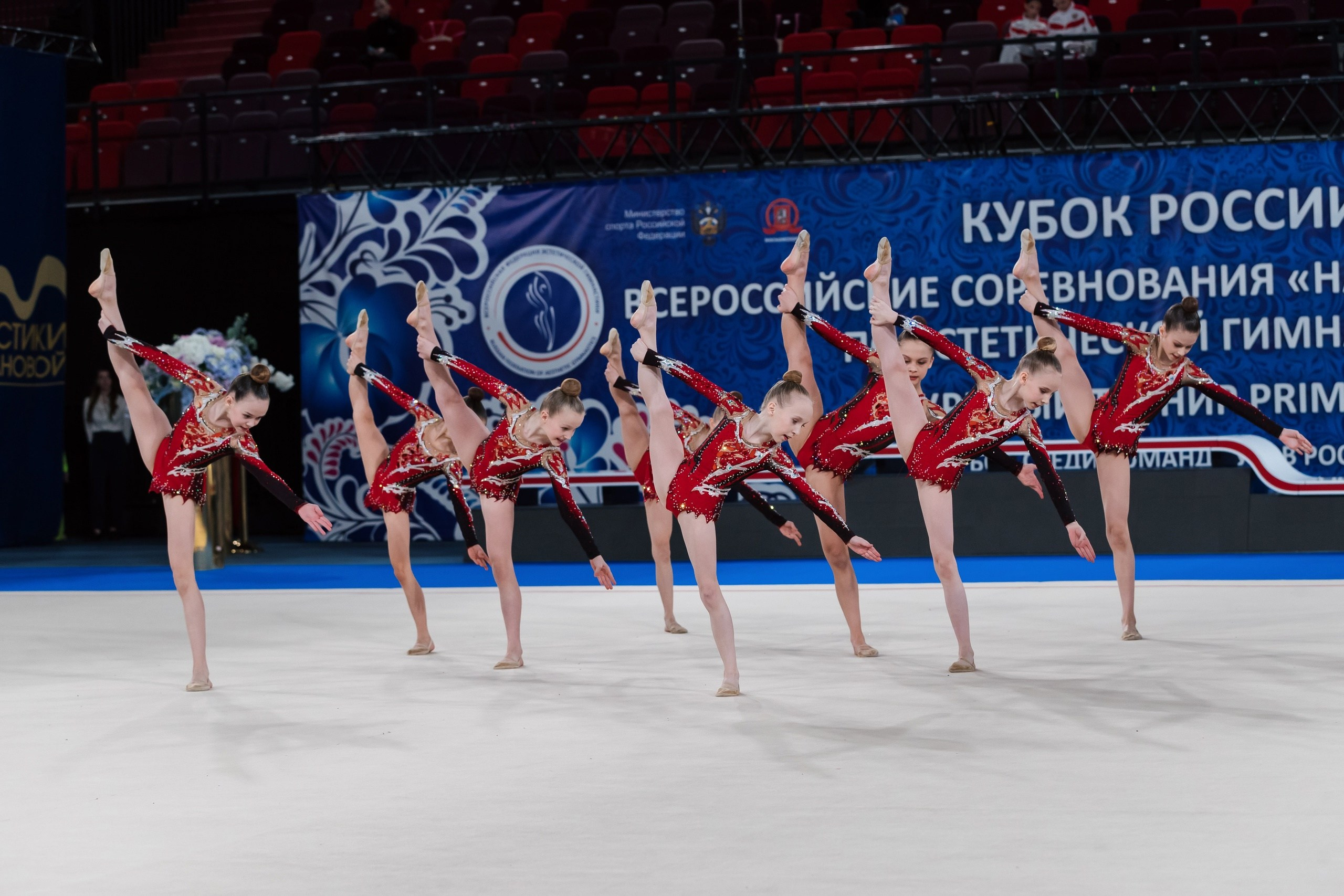 Кубок России по эстетической гимнастике 2025. Москва. Спортивный фотограф Александр Васильев. RG и AGG