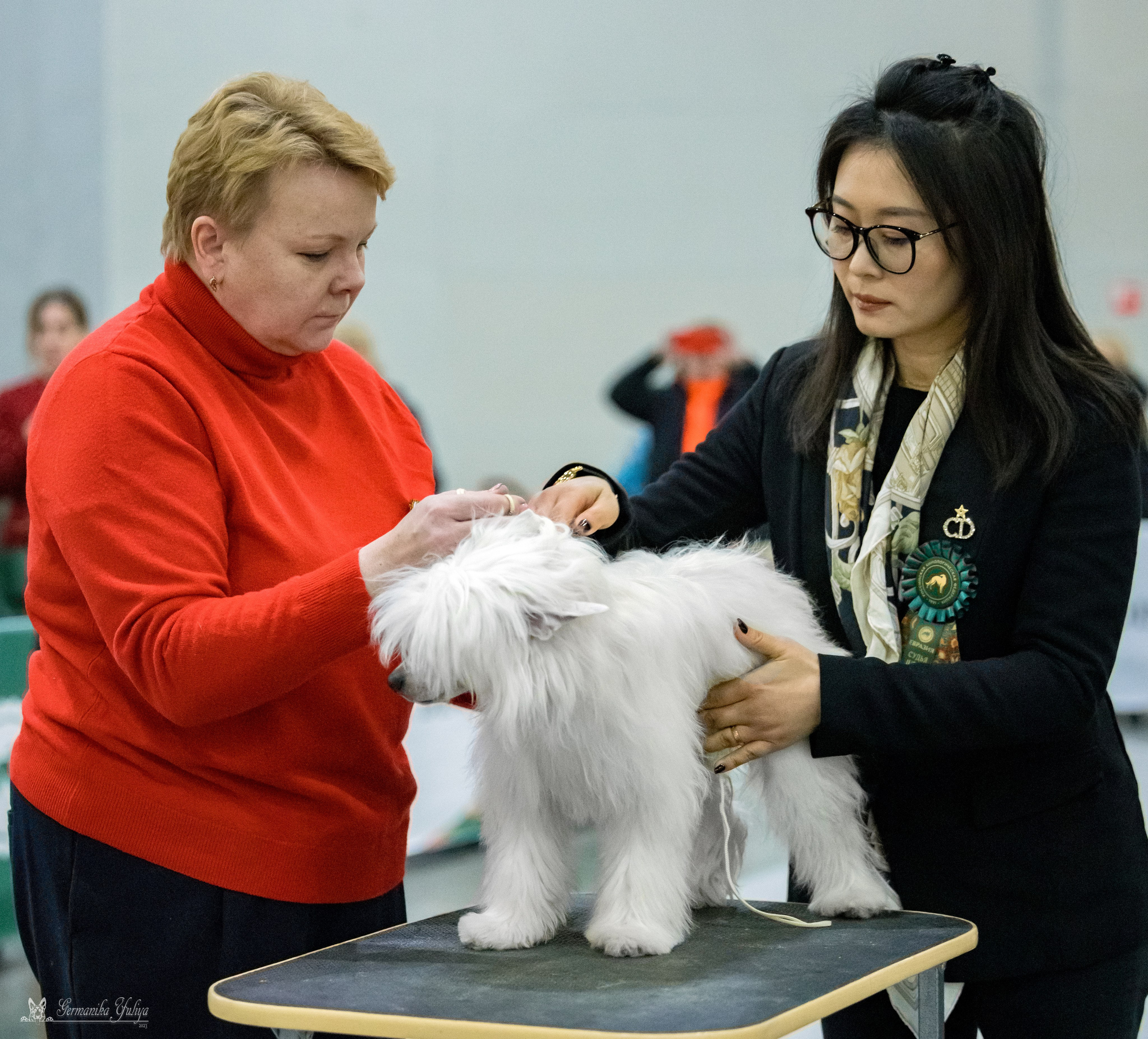 ЕВРАЗИЯ 18-19.11.2023. Фотограф-анималист Юлия Германика