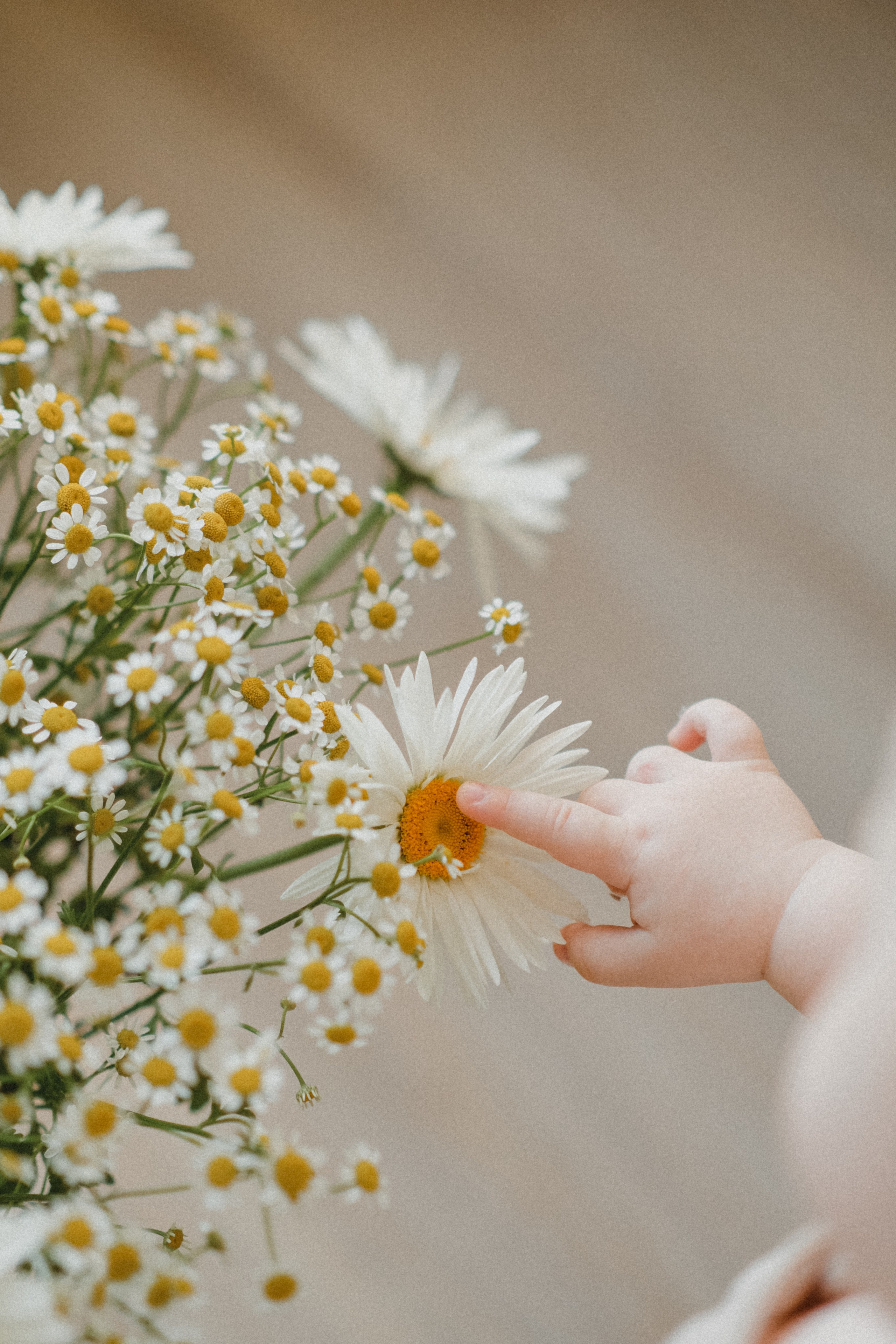 Рита и Марк. Семейный фотограф Москва