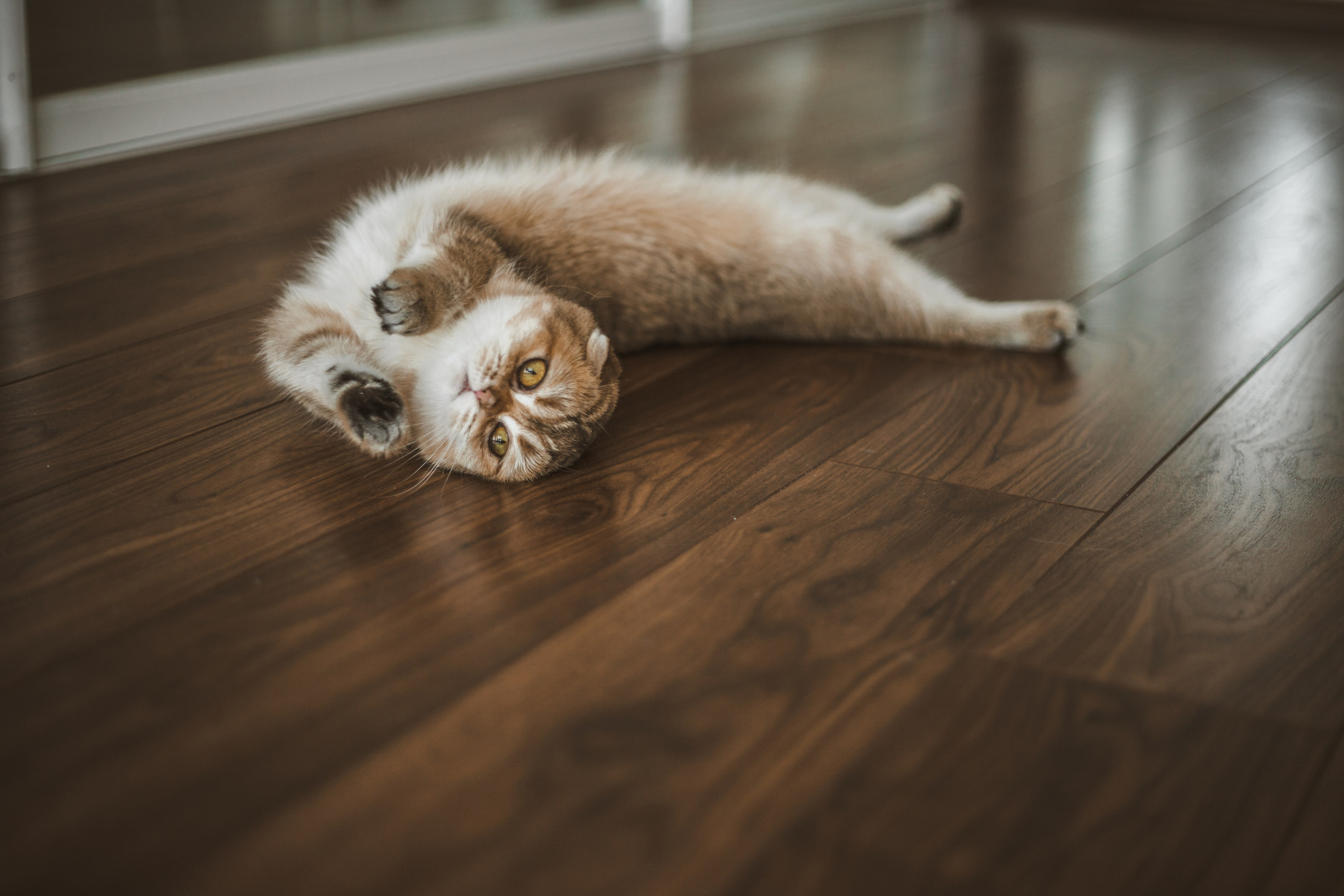 Фотограф Сочи, Адлер, Красная Поляна — Вероника Радченко