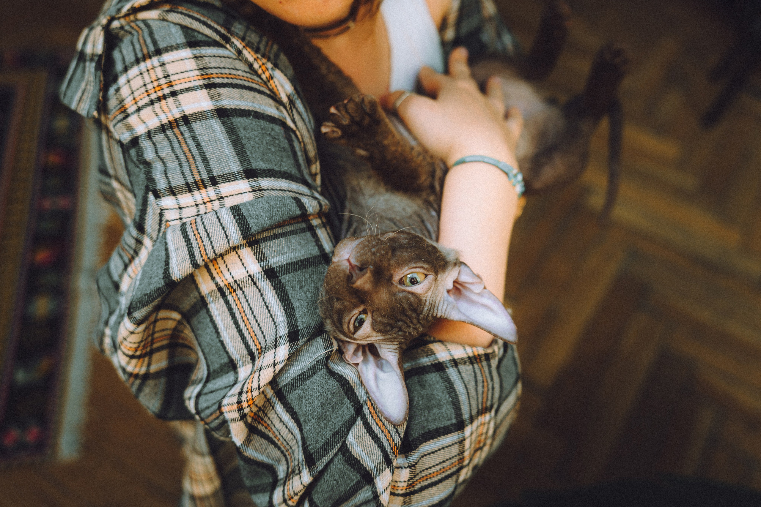 Кокос, Света, Динара и Вилли