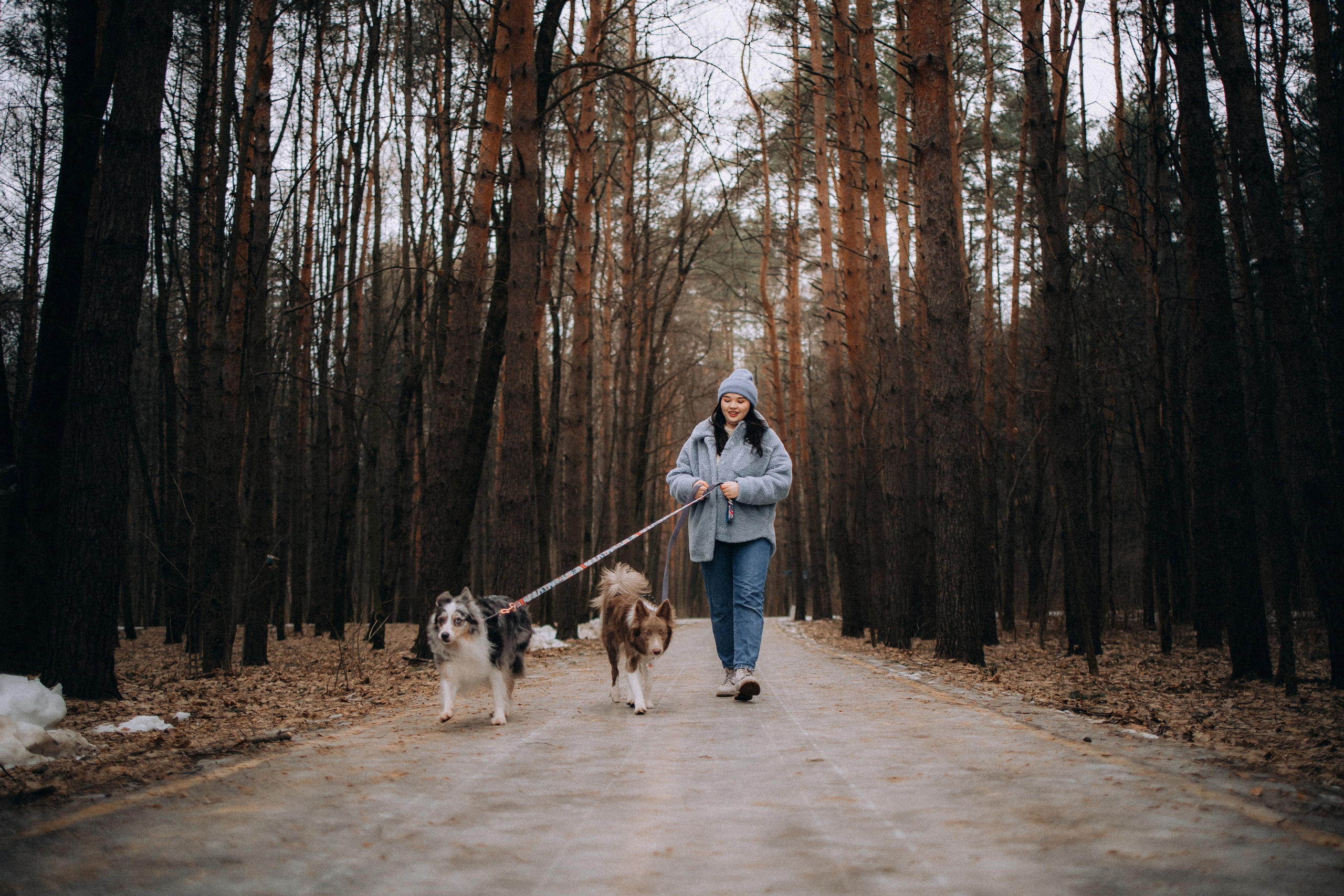 Полина, Милли и Паддингтон