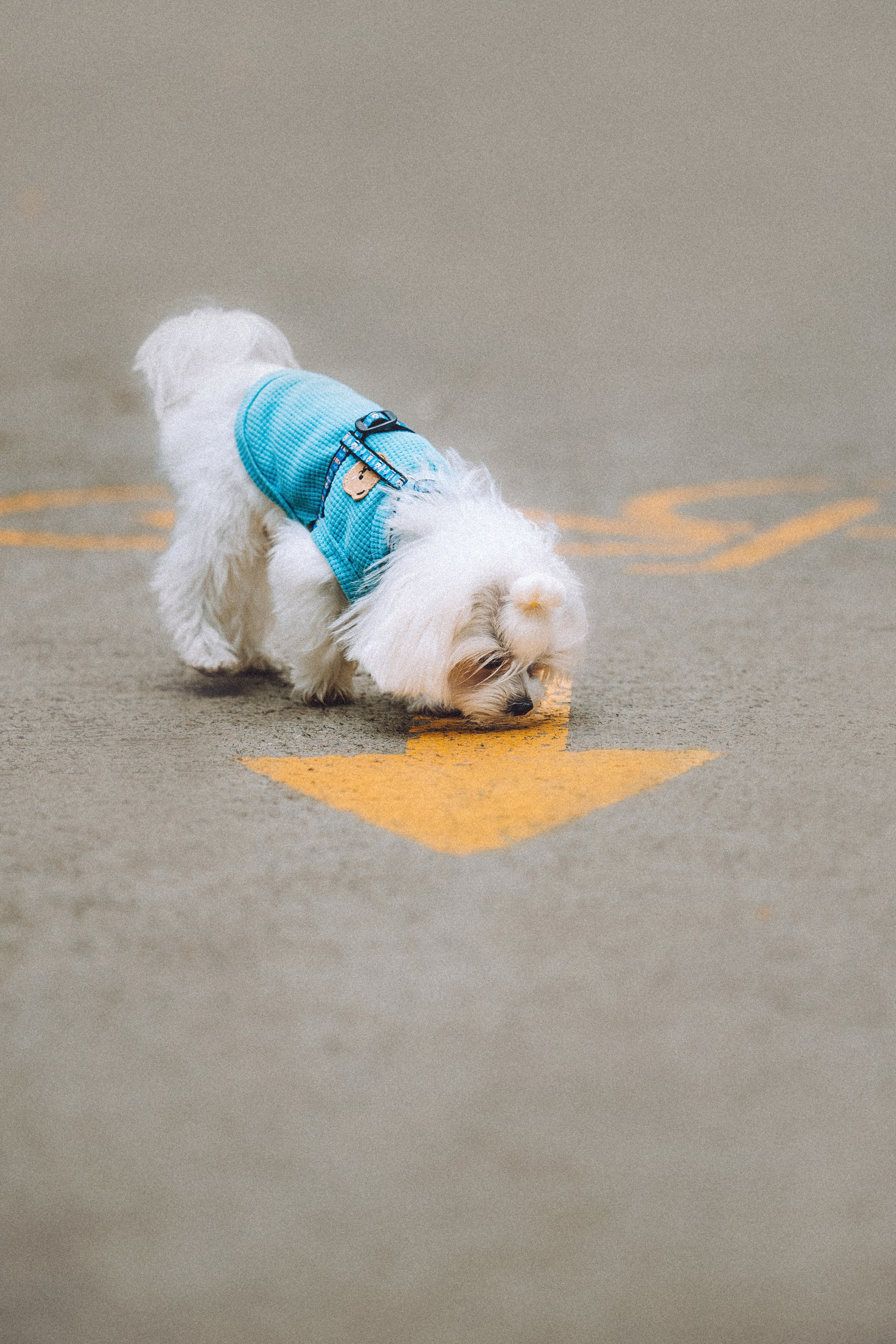 Настя и Гоша