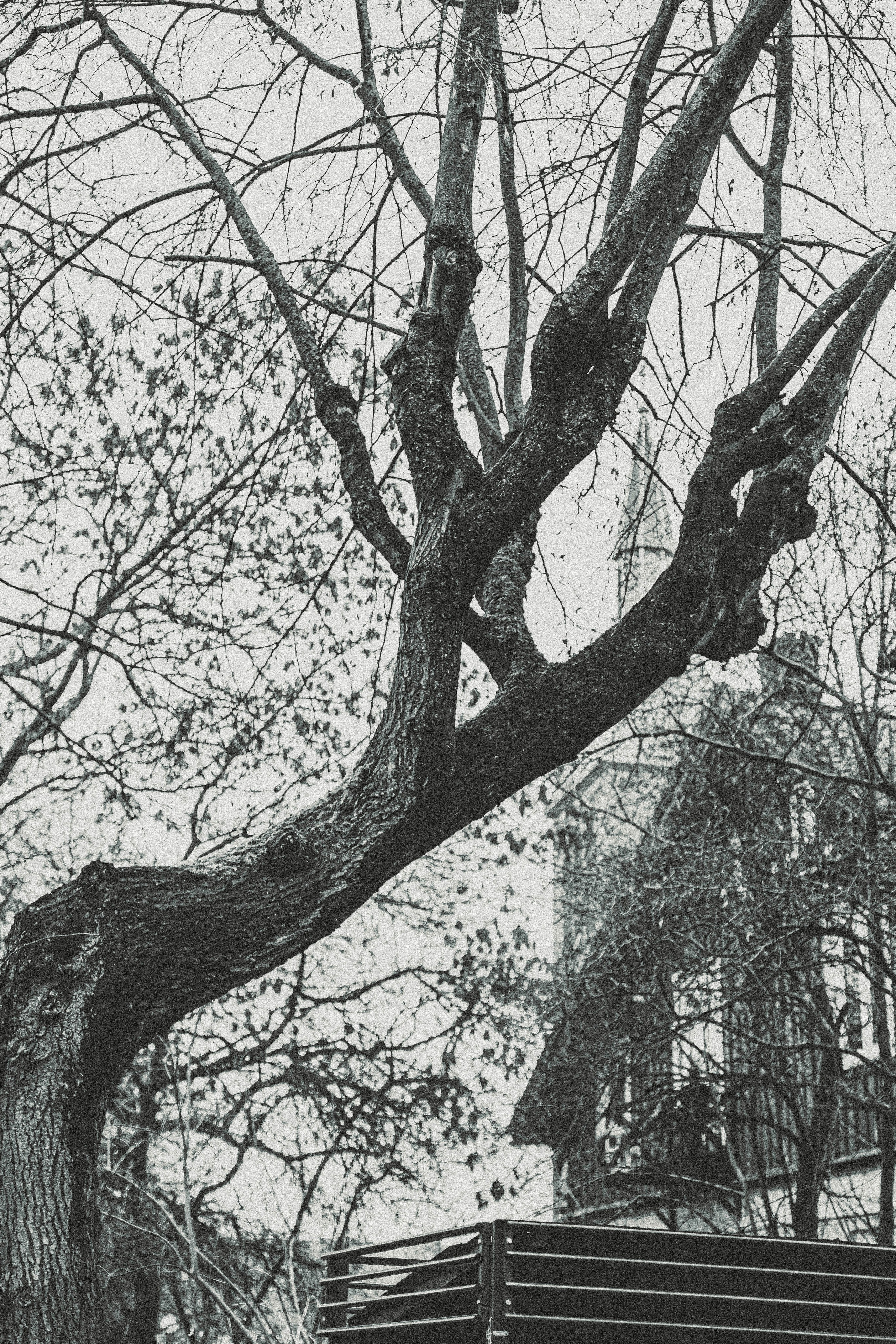 Калининград, декабрь 2025. Фотограф в Ярославле Ольга Пыненкова