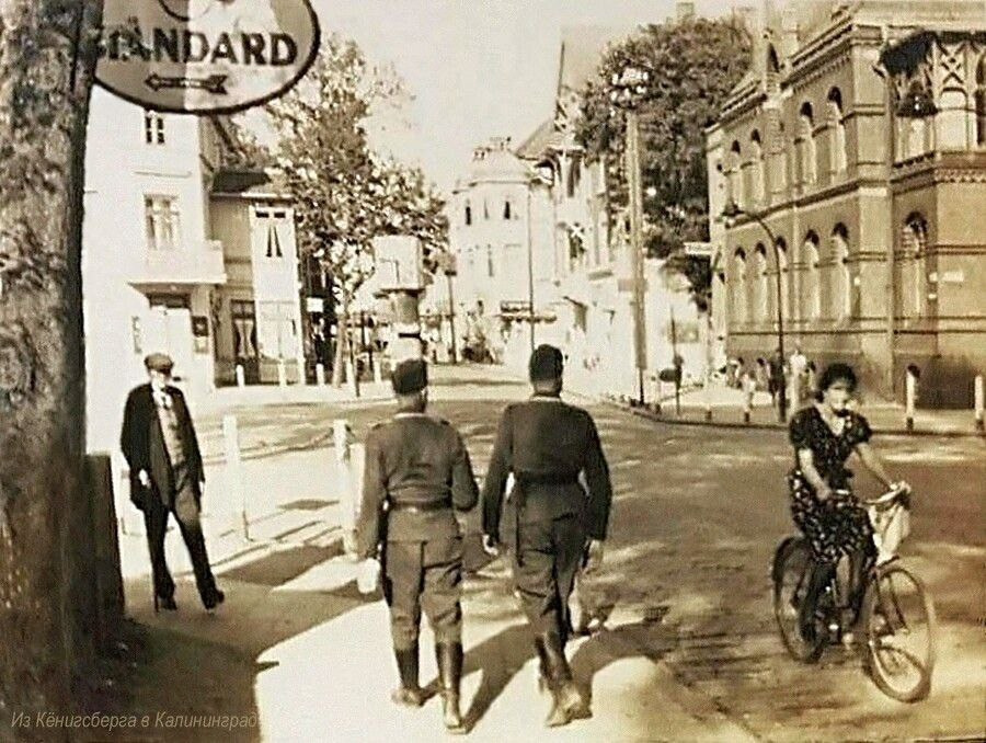 Стоимость фотосессии. Фотограф Зеленоградск Лиана Сопина