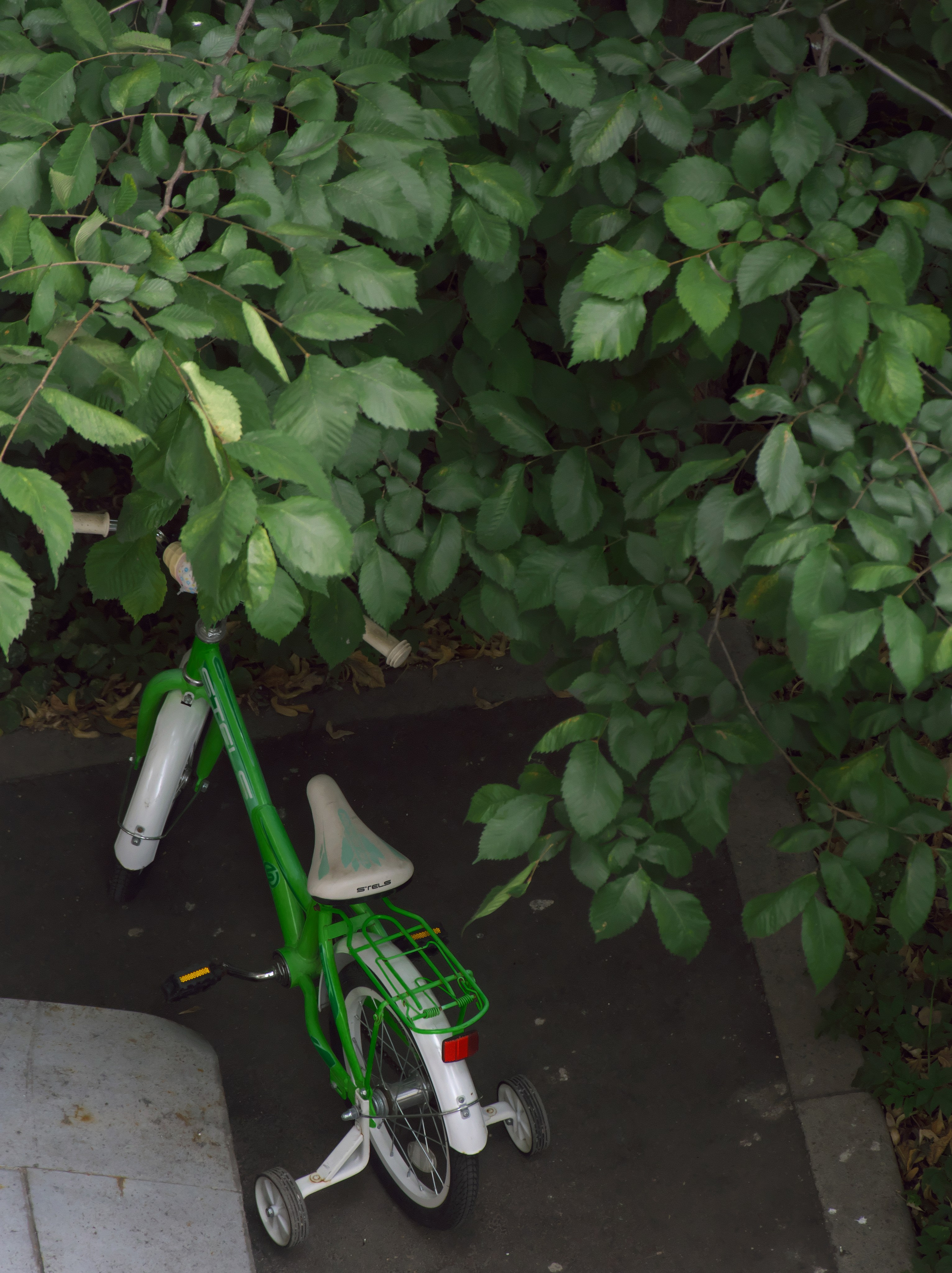 Велосипеды 🚲. Миша Печёнкин | фотография