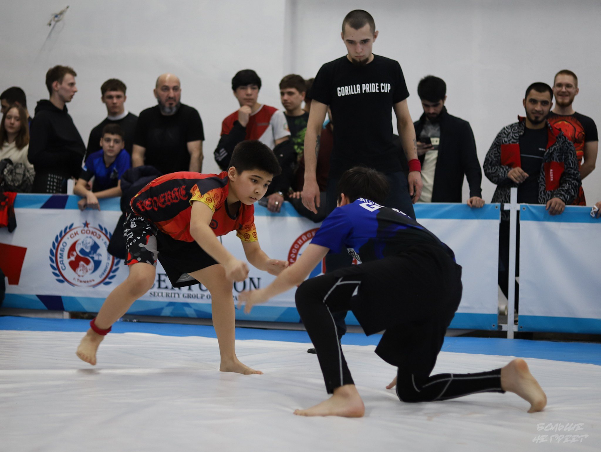 GORILLA PRIDE CUP. Больше не греет