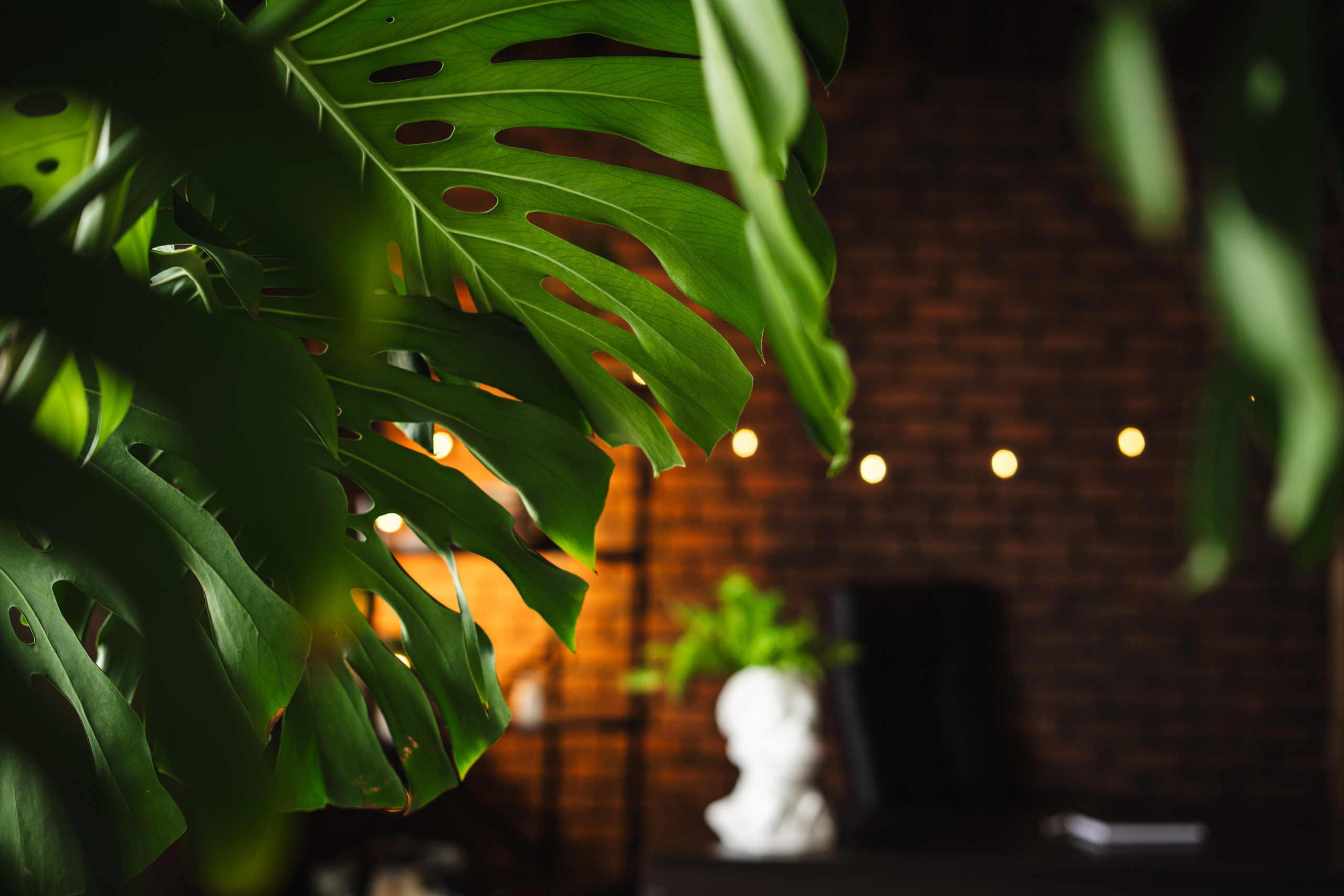 Фотостудия Импульс ретро Новый год 2026 кабинет зал Dzen Дзен