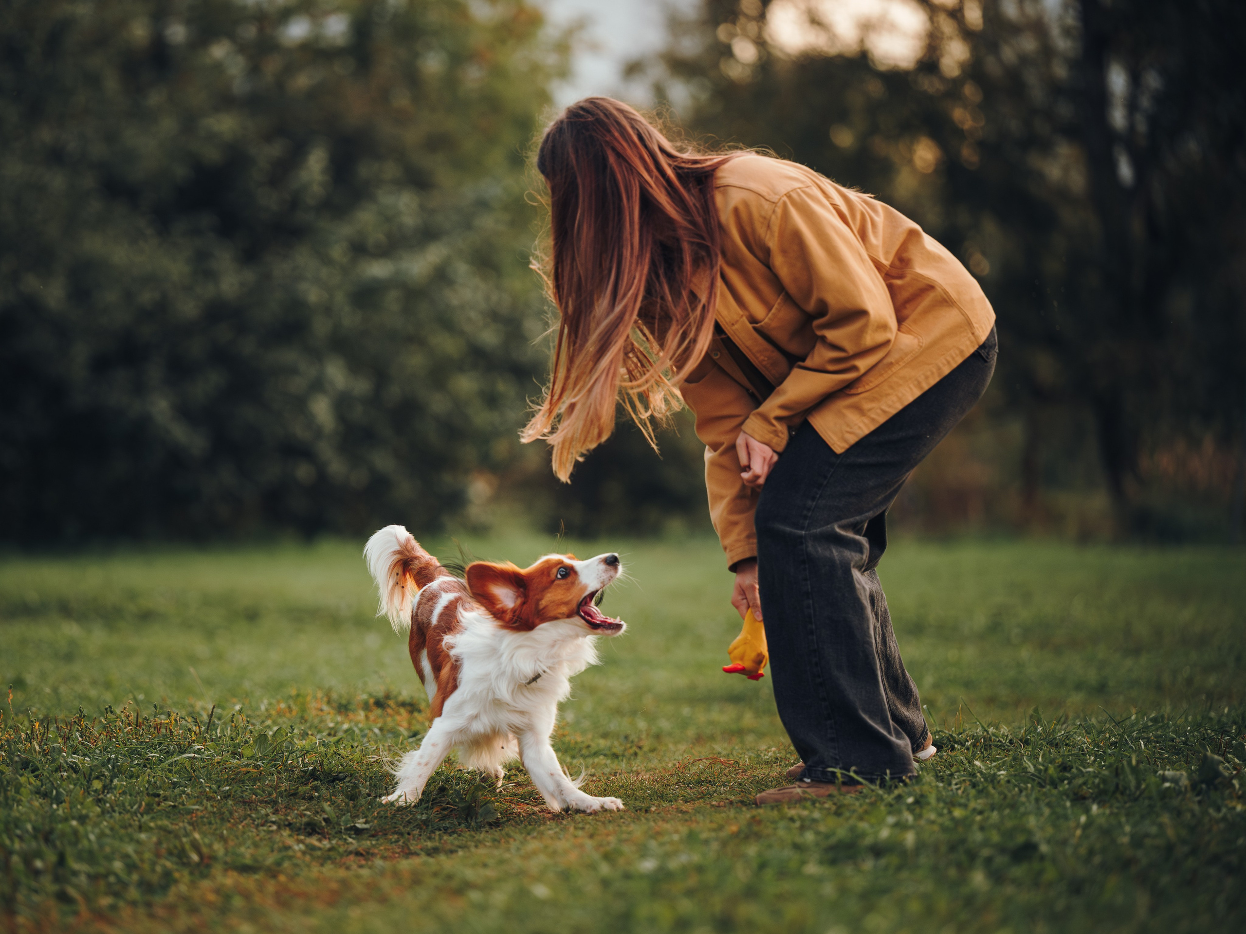 Семейная фотосессия с питомцем. Семейный фотограф анималист Ананьева Мария — Москва