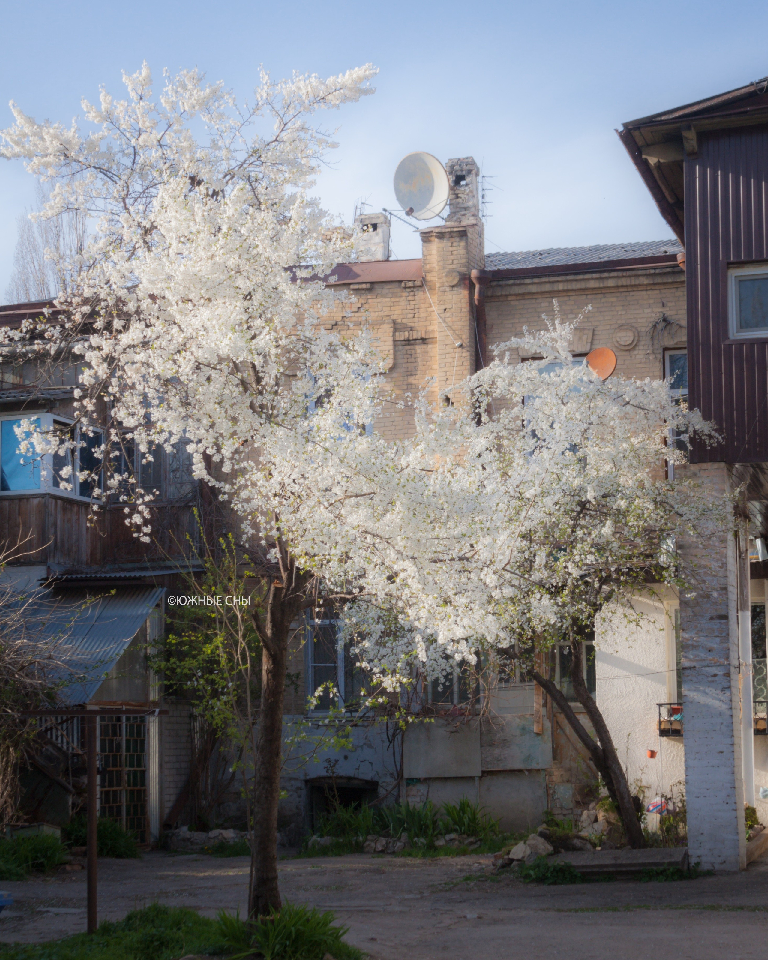 Весенний дворик в Пятигорске