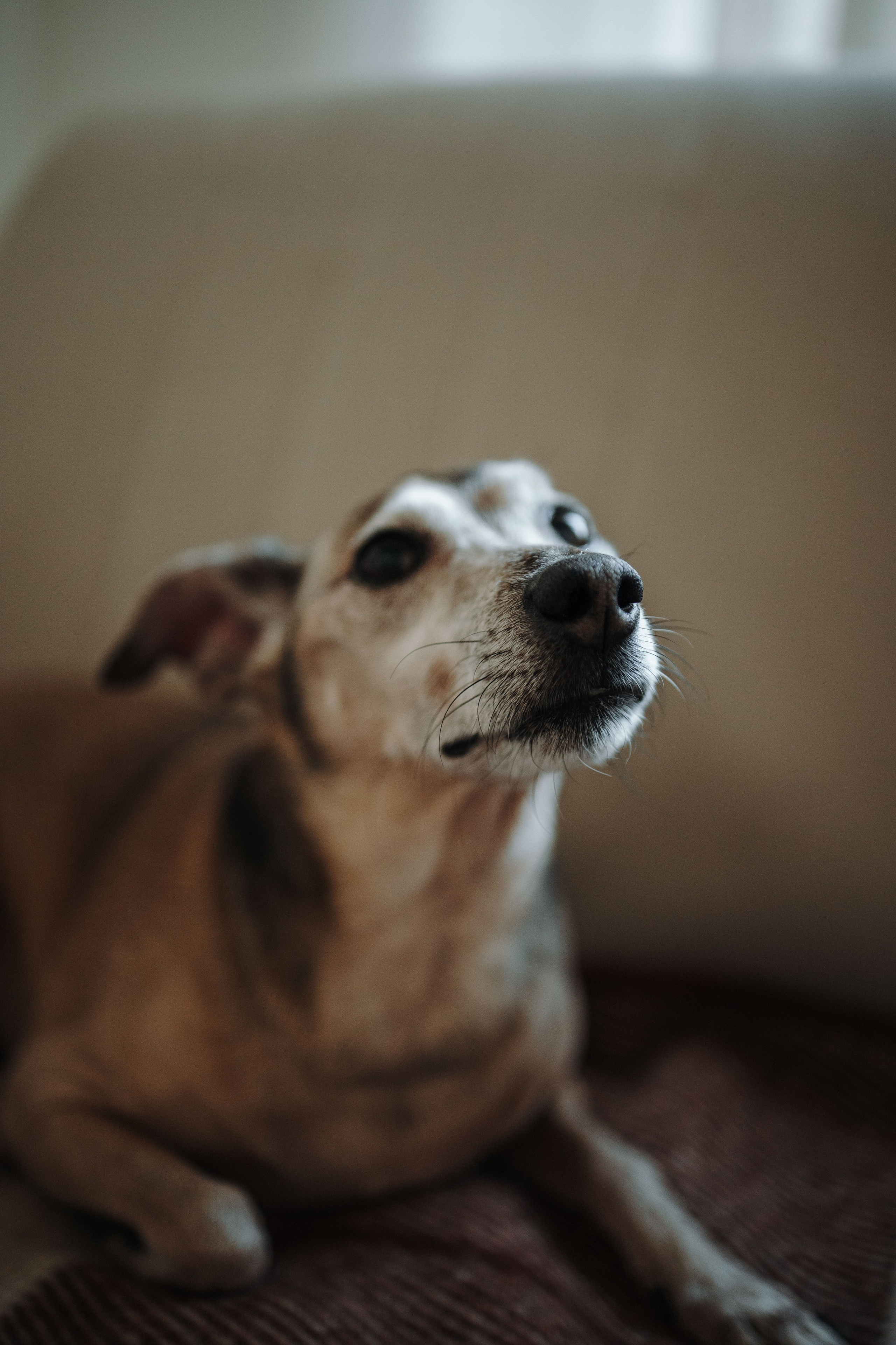 Николас и его семья