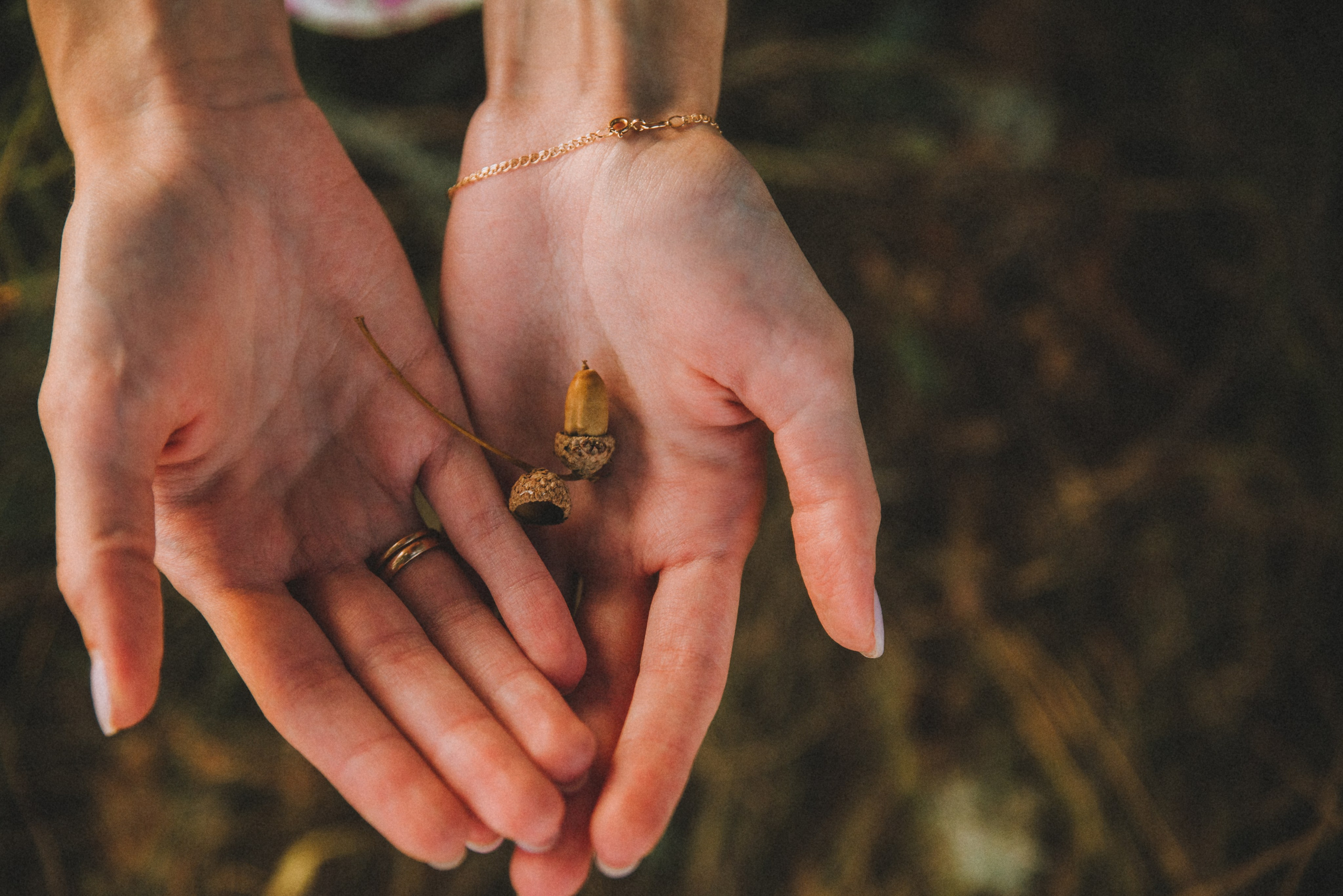 Летний Пикник. Главная