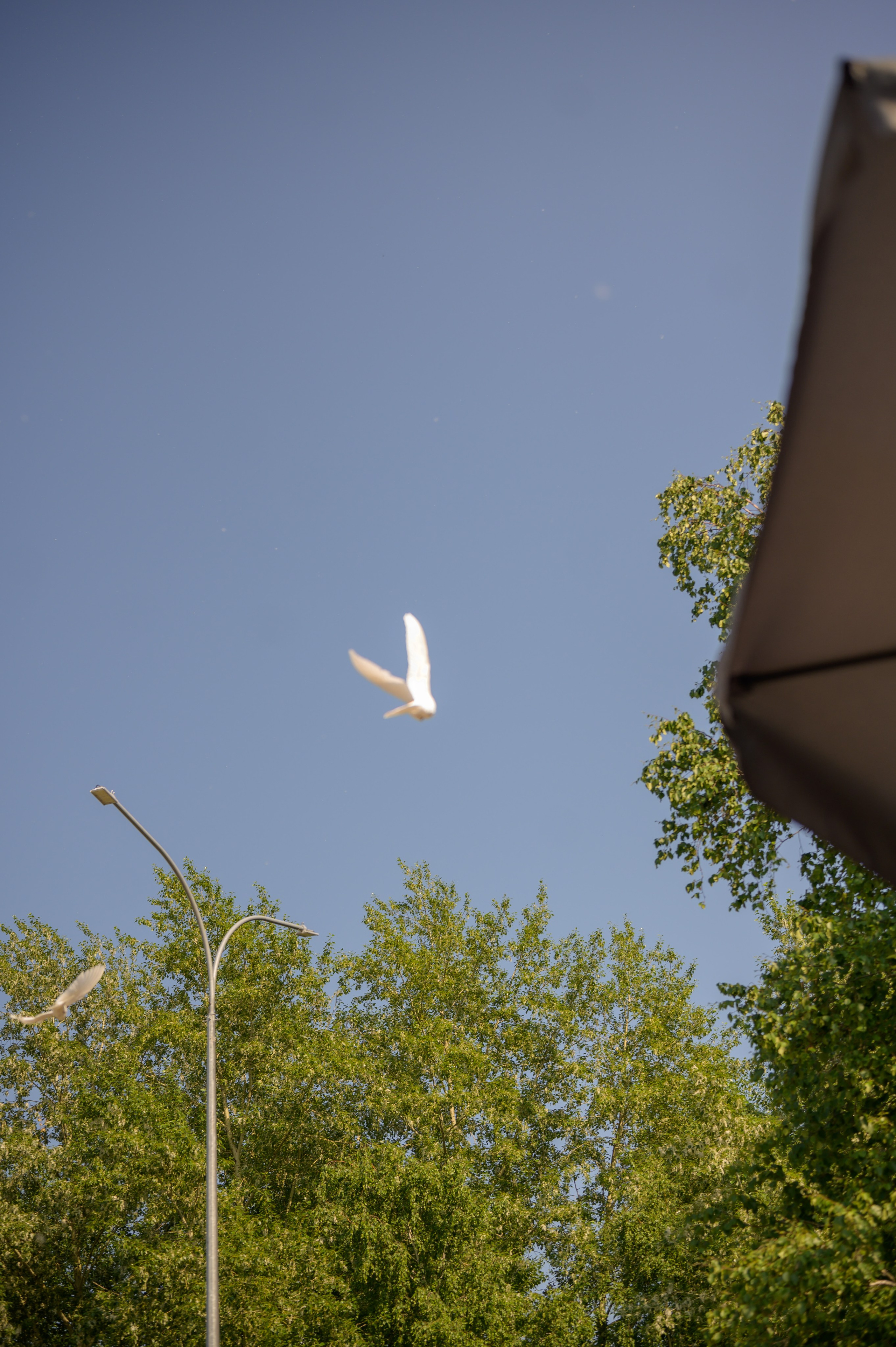 Репортаж выпускного группа «Фантазёры» 3 садик. Фотограф новорожденных, семейный детский в Тюмени Татьяна Морозова