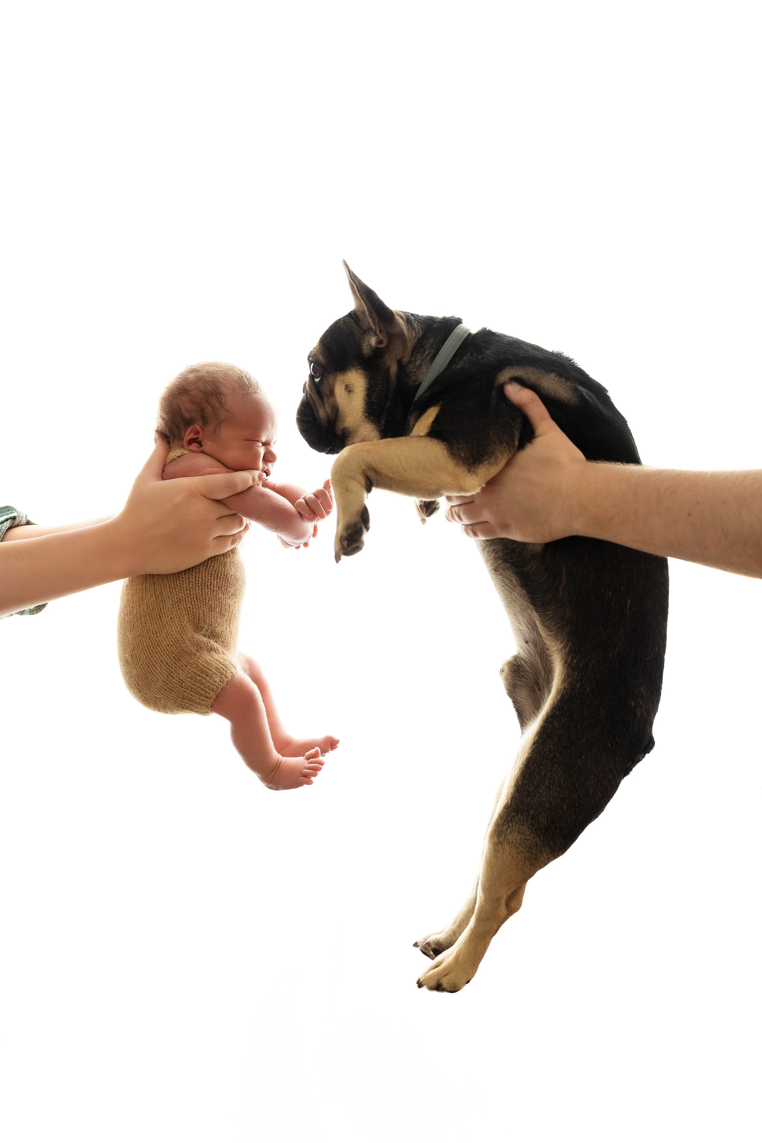 Саша 12 дней. Фотограф новорождённых Newborn Москва