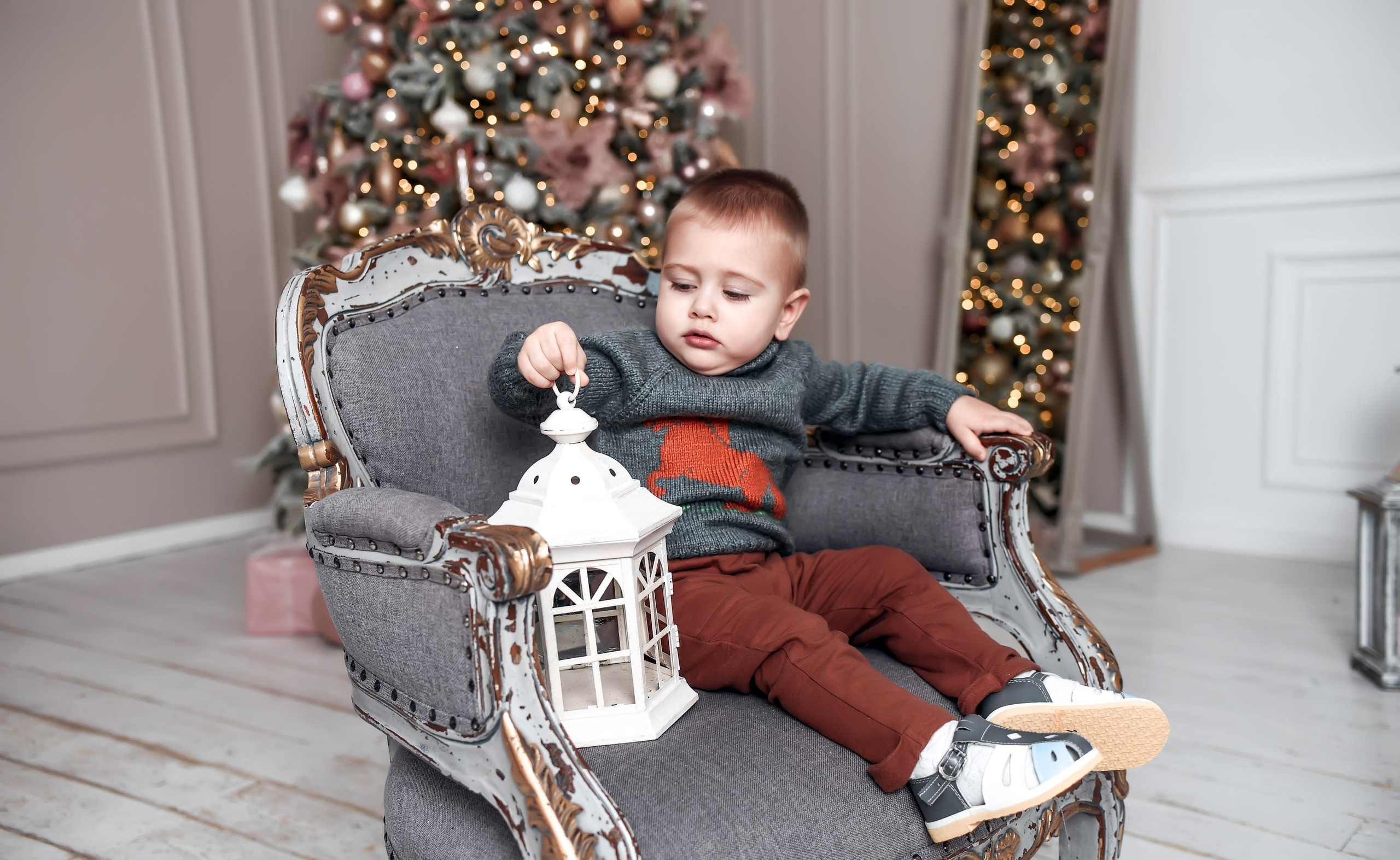 Новогодняя семейная. Свадебный, семейный, детский, контент фотограф в Омске Максим Ильин