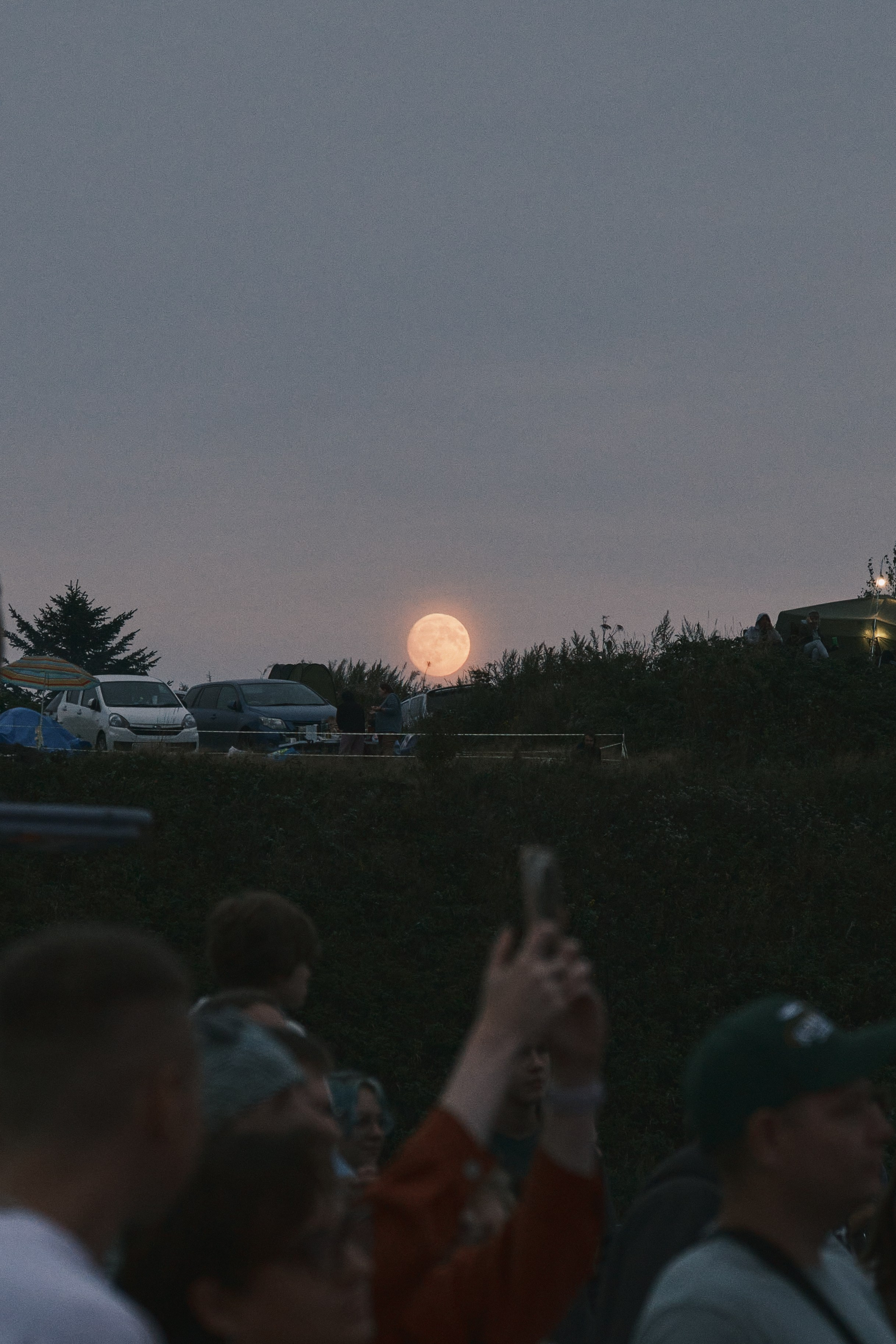 “Wings of Sakhalin — 2025” Festival