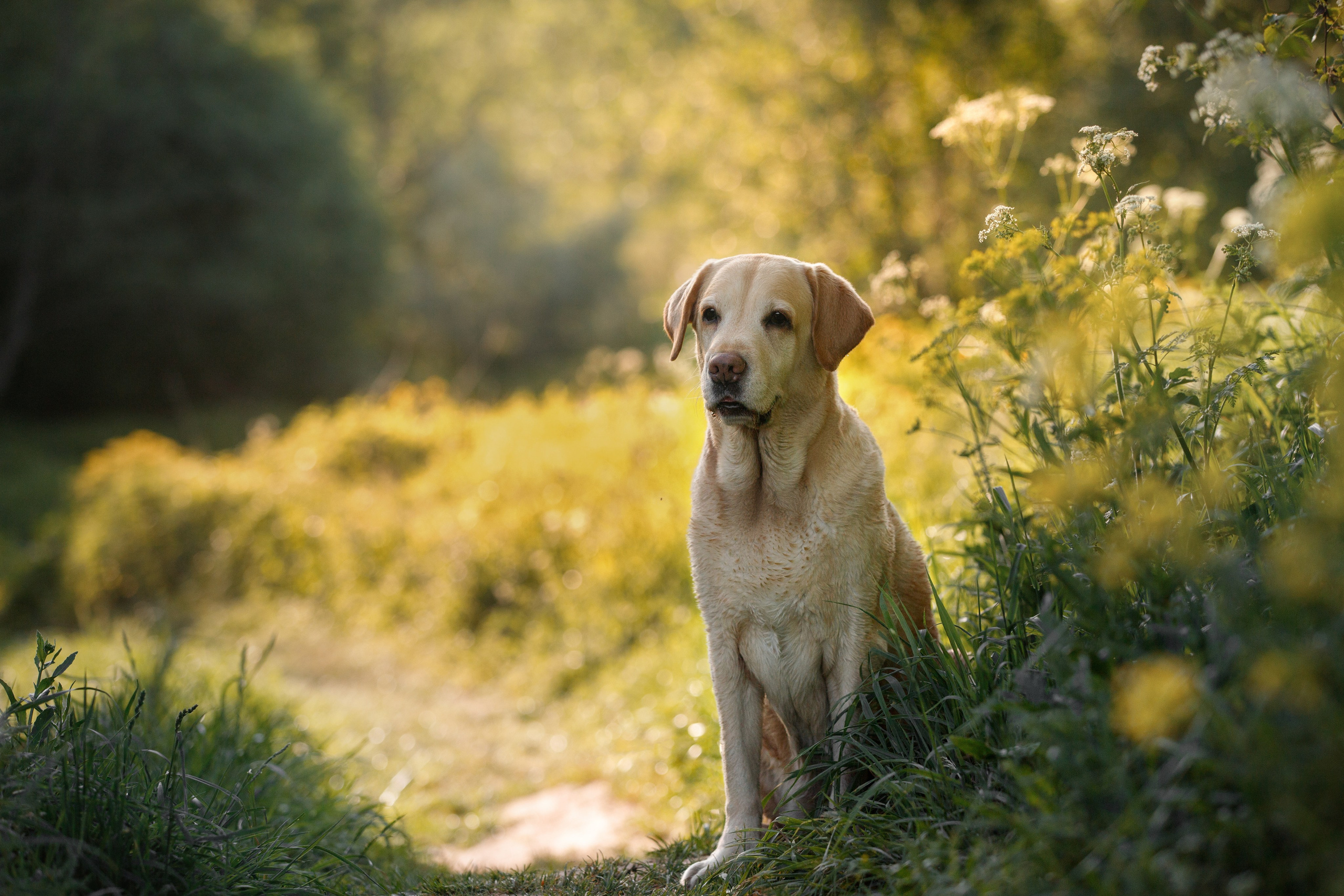 Фотограф-анималист в Калуге Мария Шерскова
