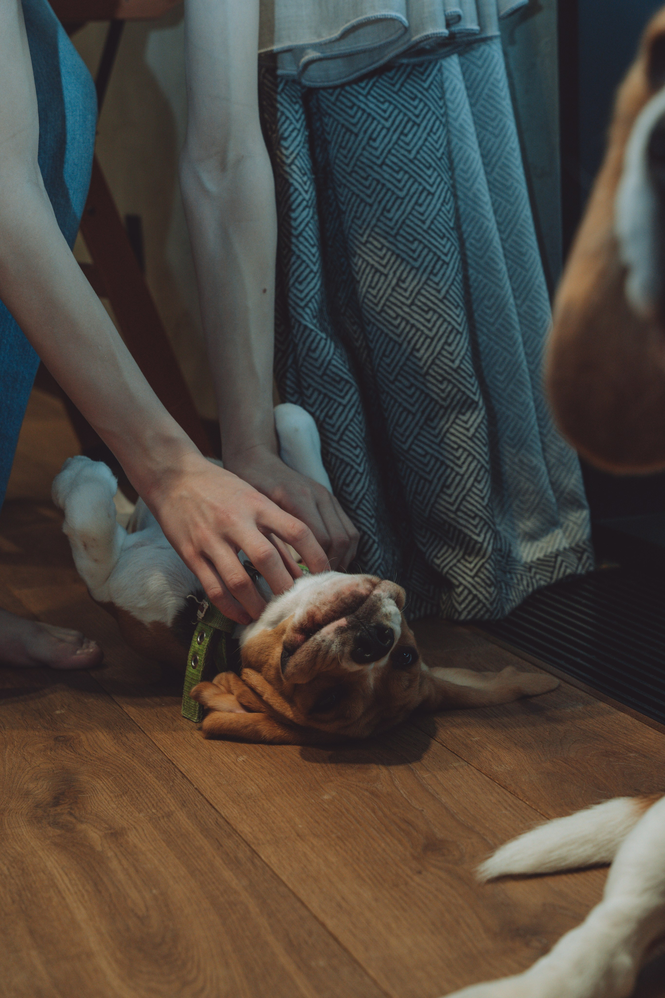 МЫ ЛЕПИЛИ ВАРЕНИКИ. Семейный и детский фотограф Анна Бренч