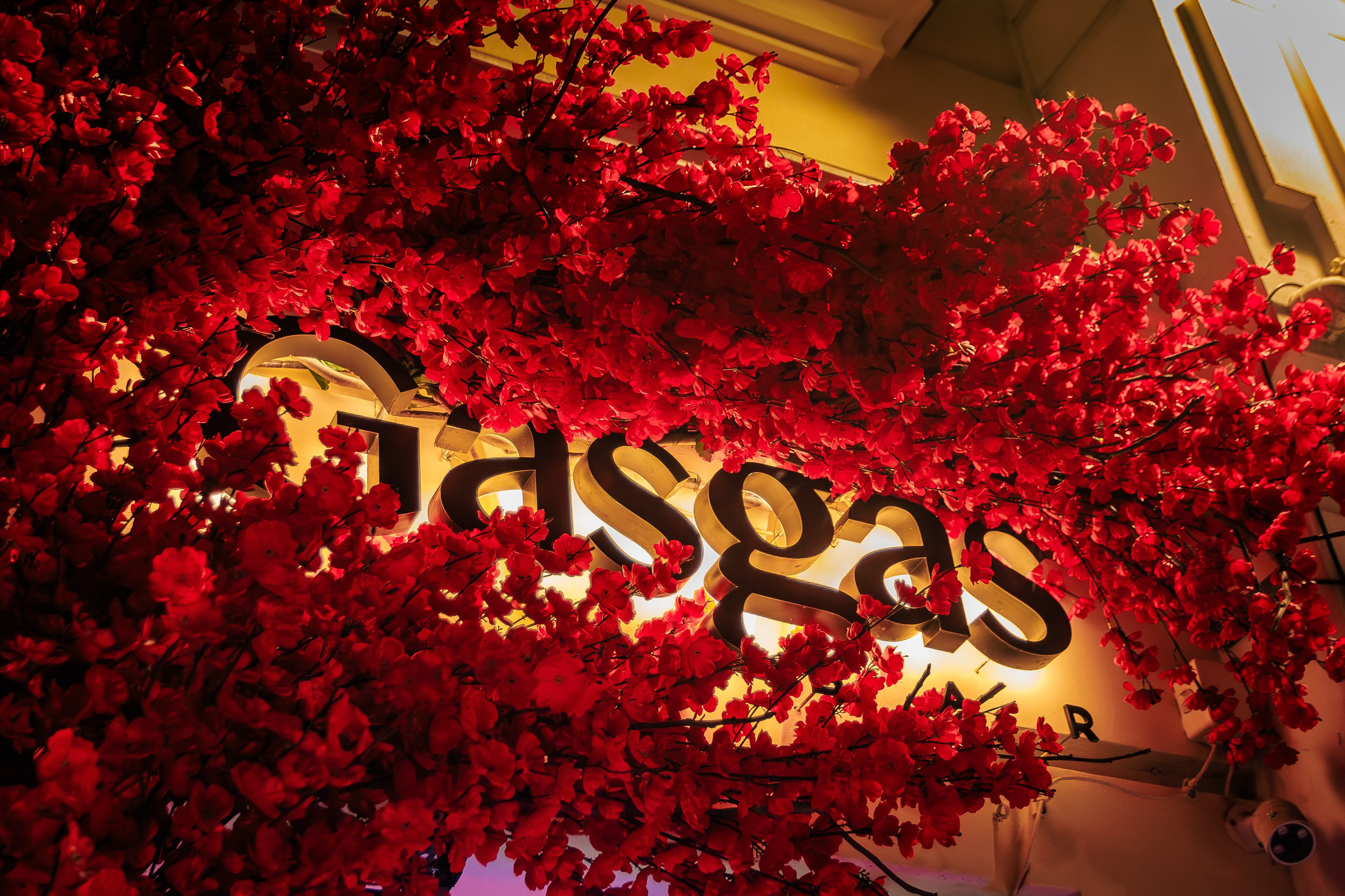 Gasgas_Ростов-на-Дону_11.01.2026. Аминов Руслан | Фотограф