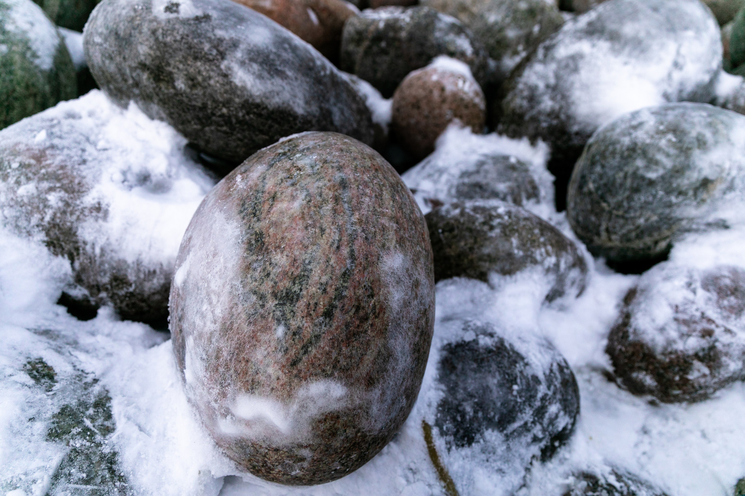 Планета. Фотограф FOTOBANKA