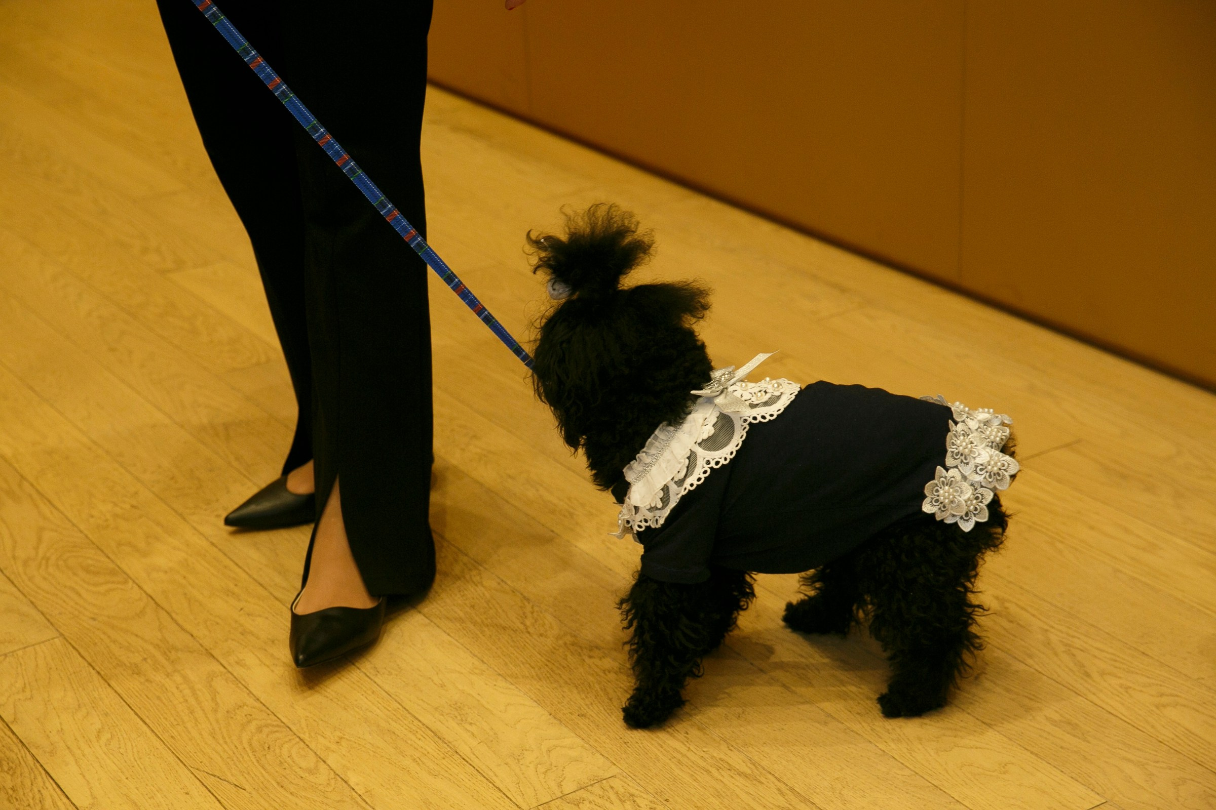 Дания и Тимур. Барвиха. Фотограф в Москве