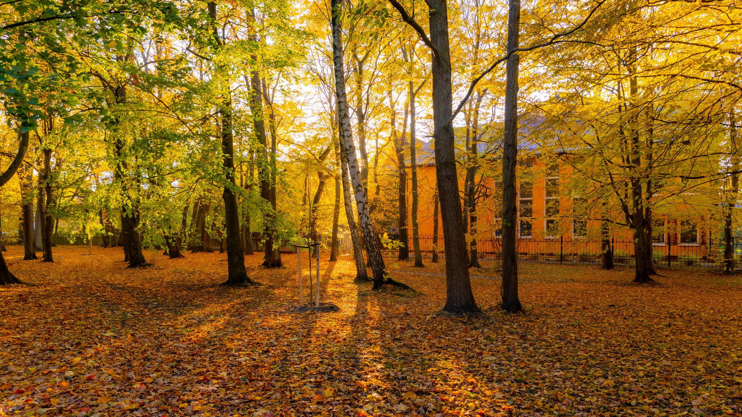 2024 10 Зеленоградск, Светлогорск, Куршская коса. Фотографии