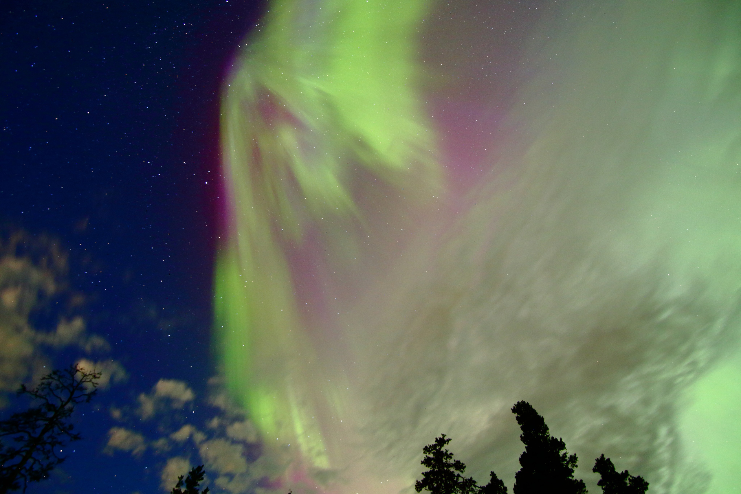 Ленинградская область — Карелия. Свадебный и репортажный фотограф в Ярославле и Санкт-Петербурге Роман Микрюков