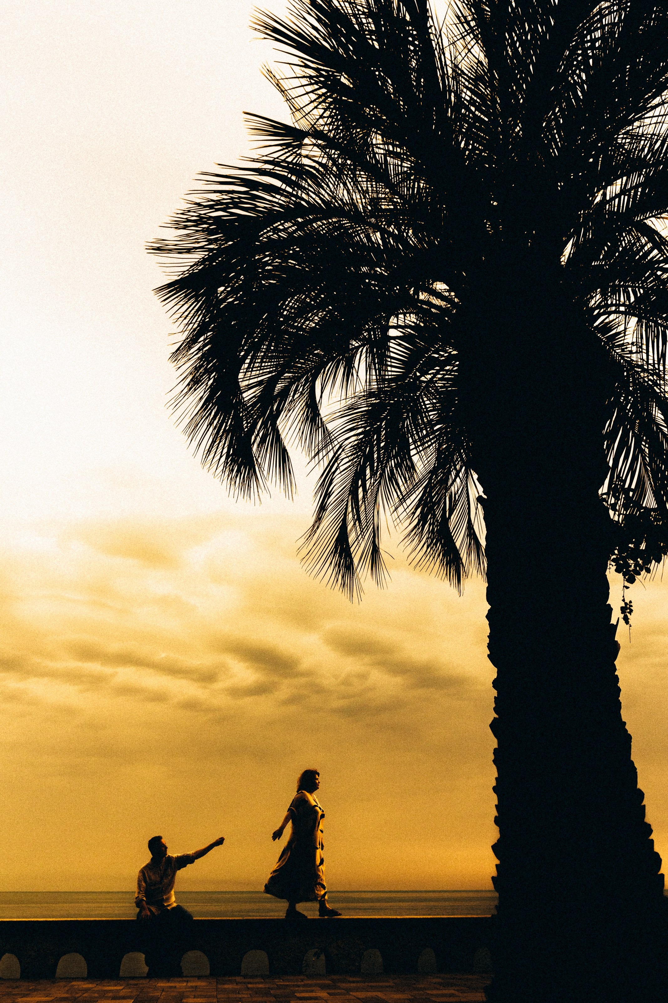 Организуем свадьбу в Абхазии на море или в горах. Свадебный фотограф в Абхазии, Сухум, Гагра, Сочи