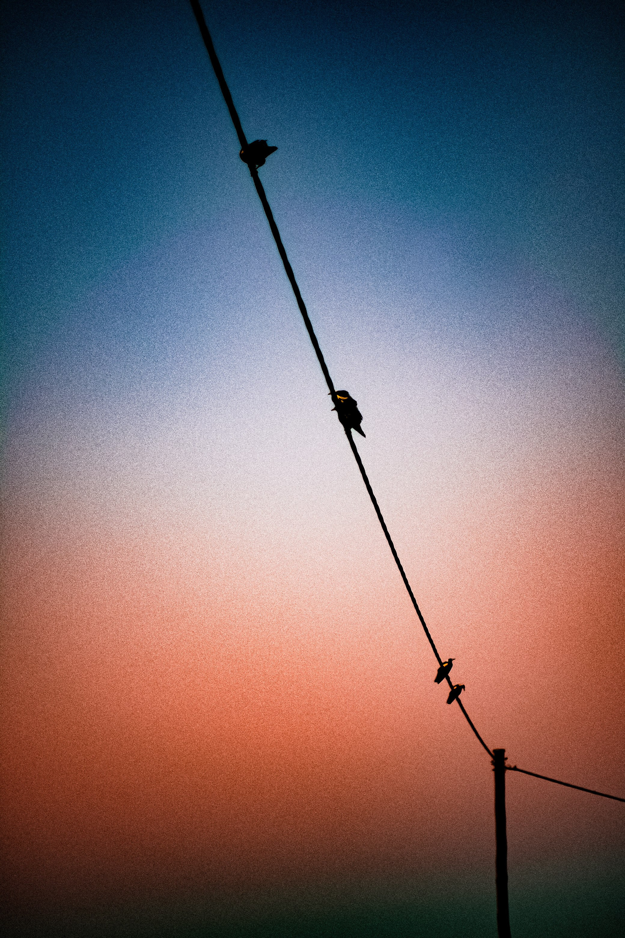 Sydney suburban vibes screensavers. Color Photography & Videography in Moscow | by Lil Kicha