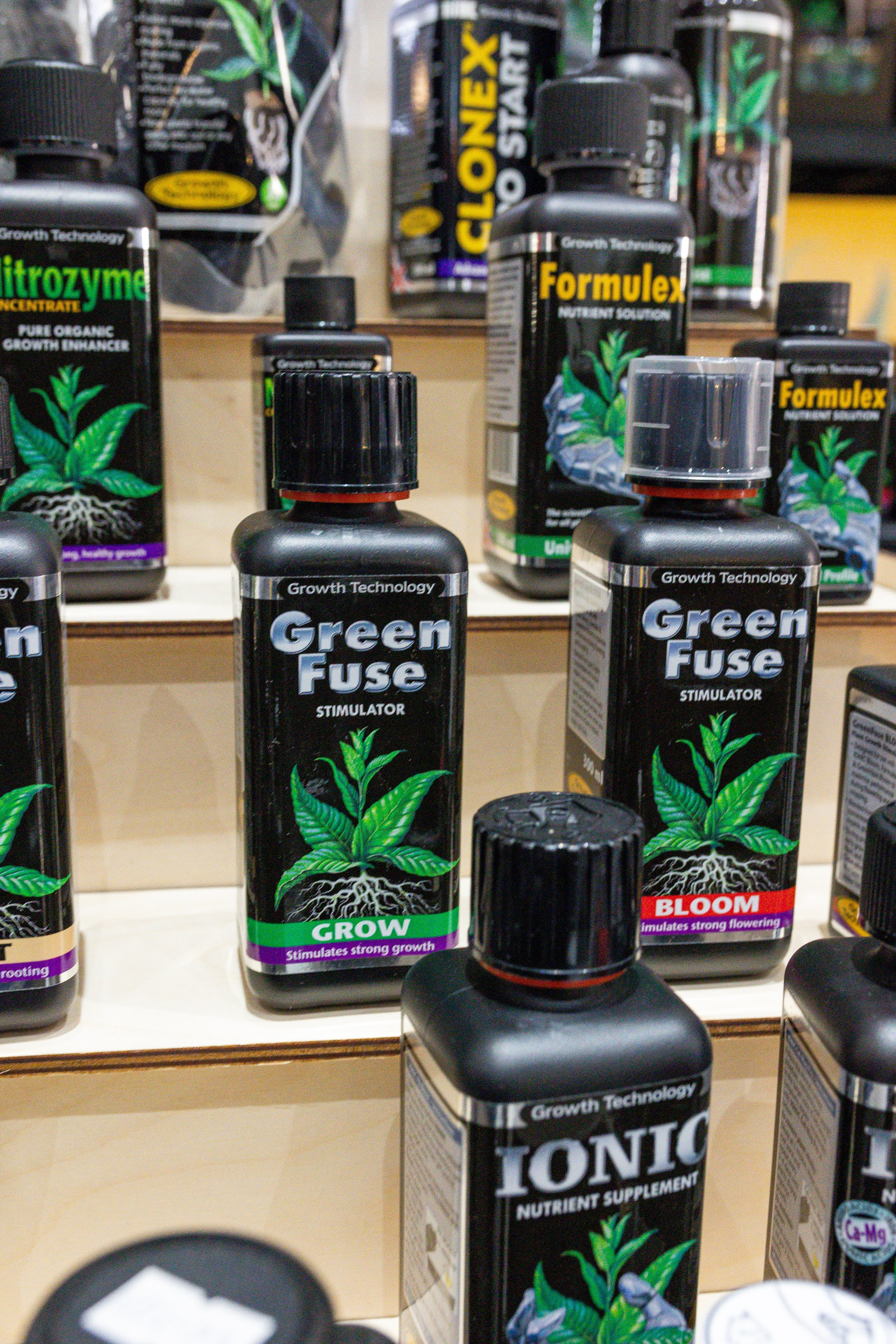 Монстериум апрель 2025. Александра Куликова фотограф, Москва