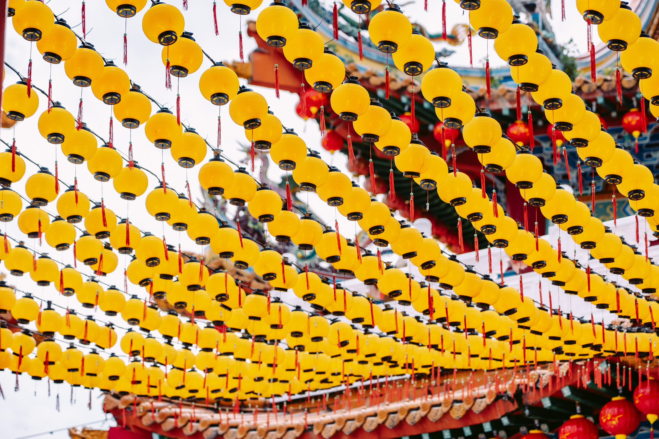 Сингапур и Малайзия. Репортажный фотограф в Москве Легкая Софья