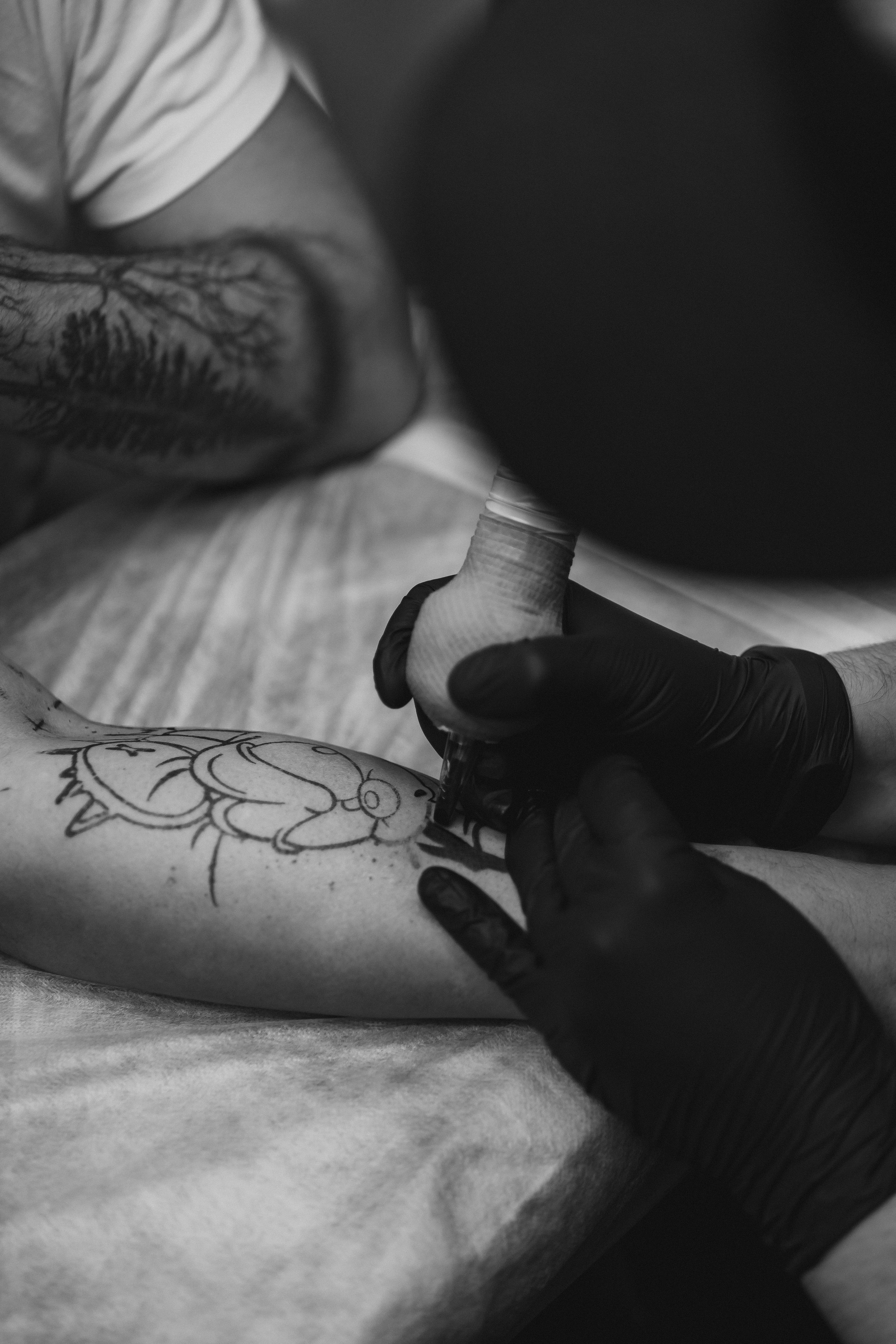 Tatoo Fest «2023». Sochi. Свадебный и семейный фотограф в городе Сочи