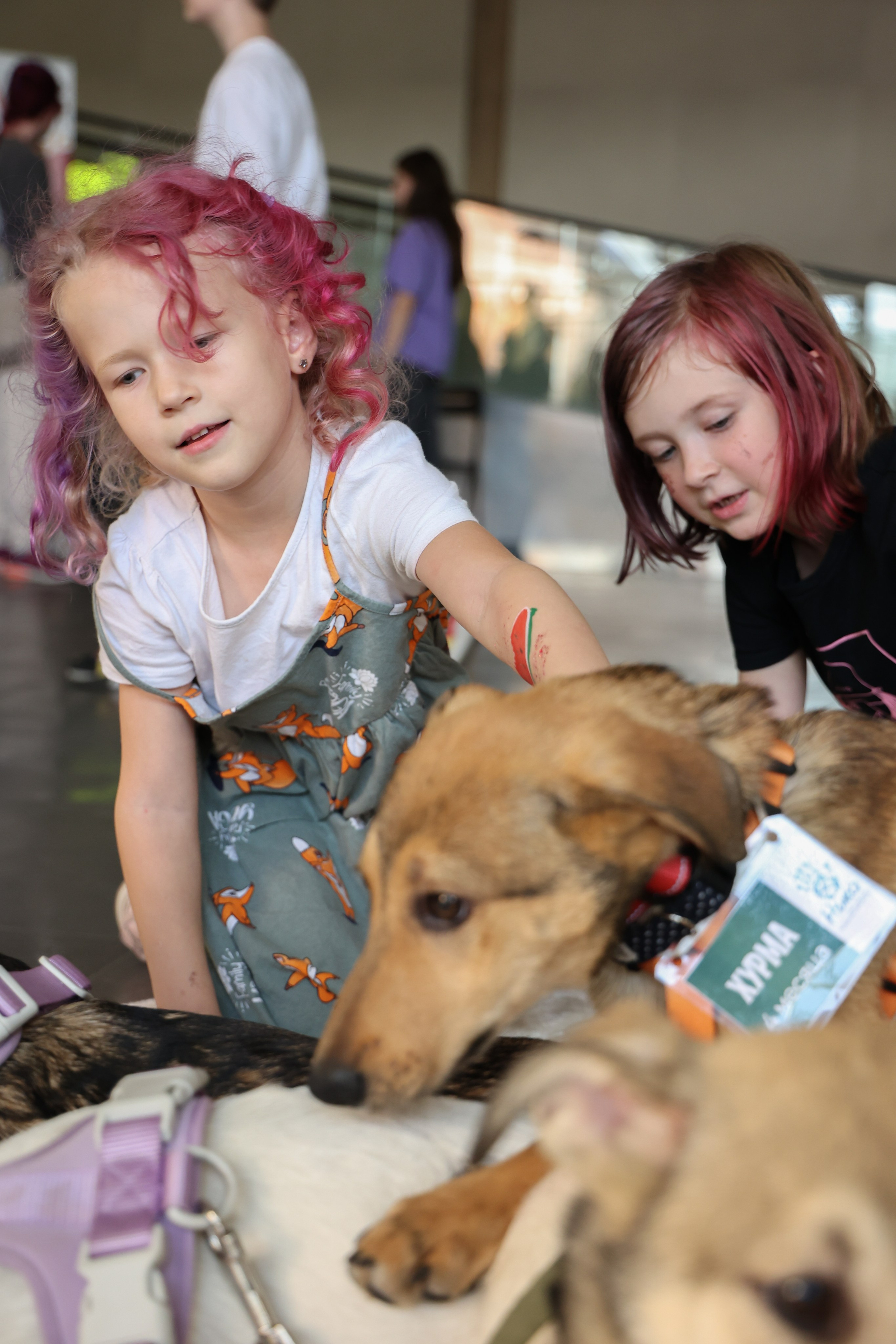 ECO FEST. Фотограф Вадим Бодылев