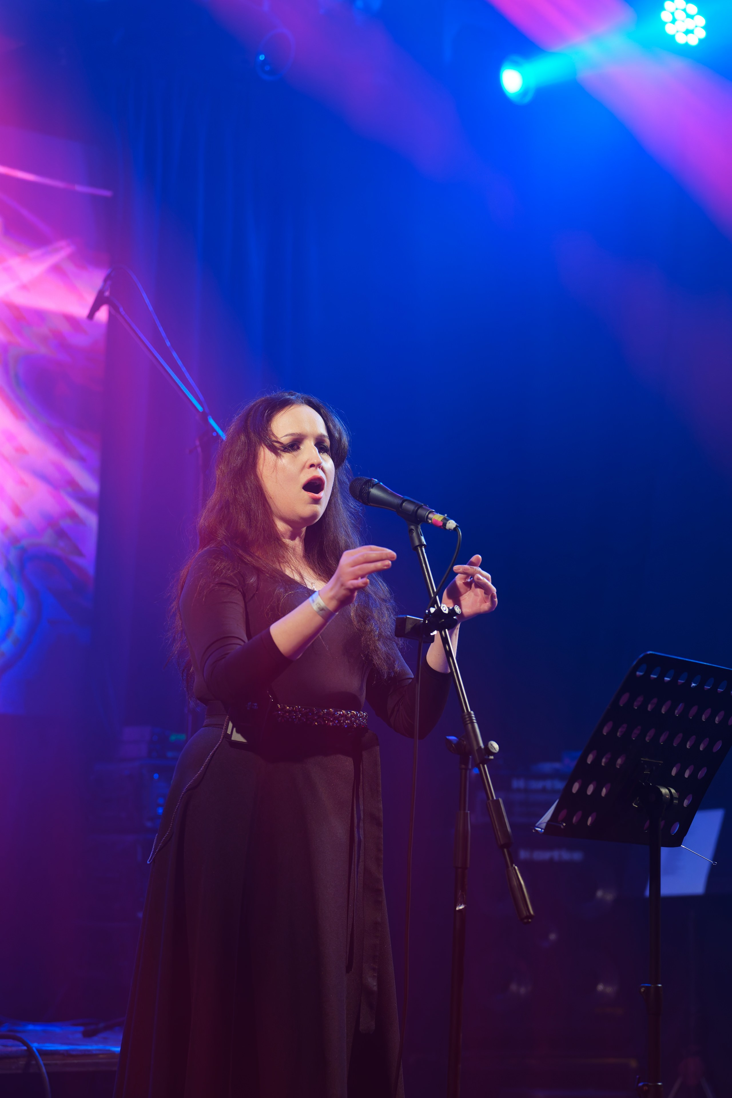 Группа Nimea (Nightwish кавер). Андрей Васильев. Фотограф, Санкт-Петербург, Российская Федерация