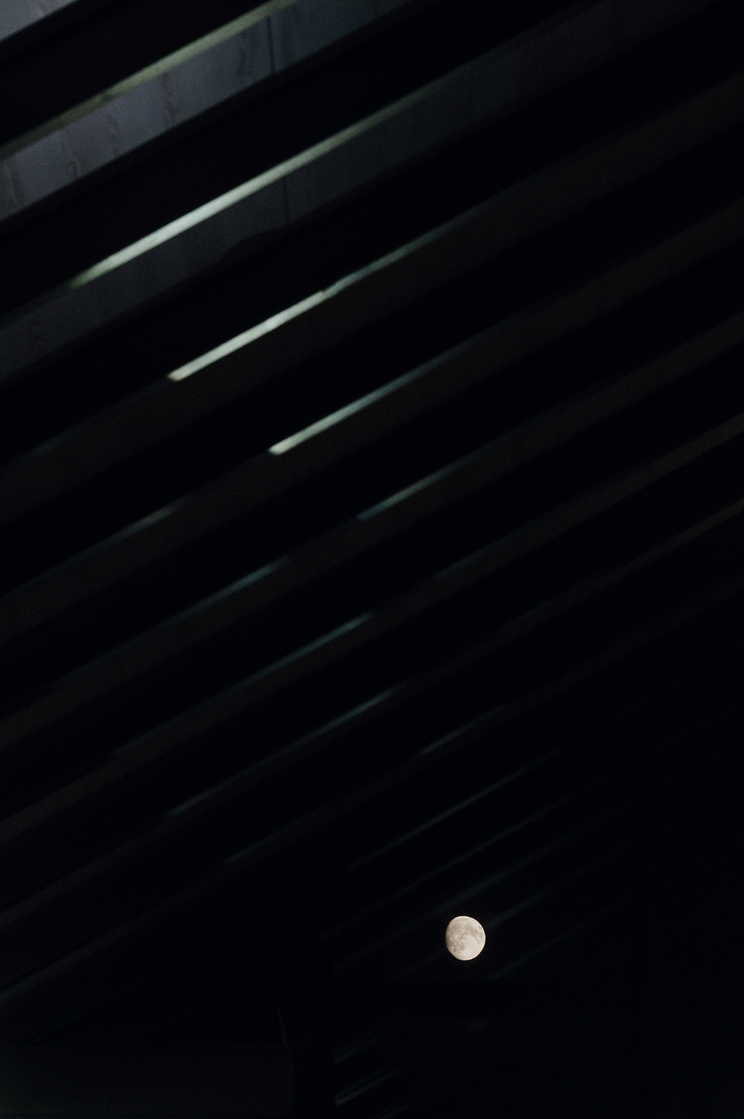 Денис и Света. Свадебный фотограф и видеограф