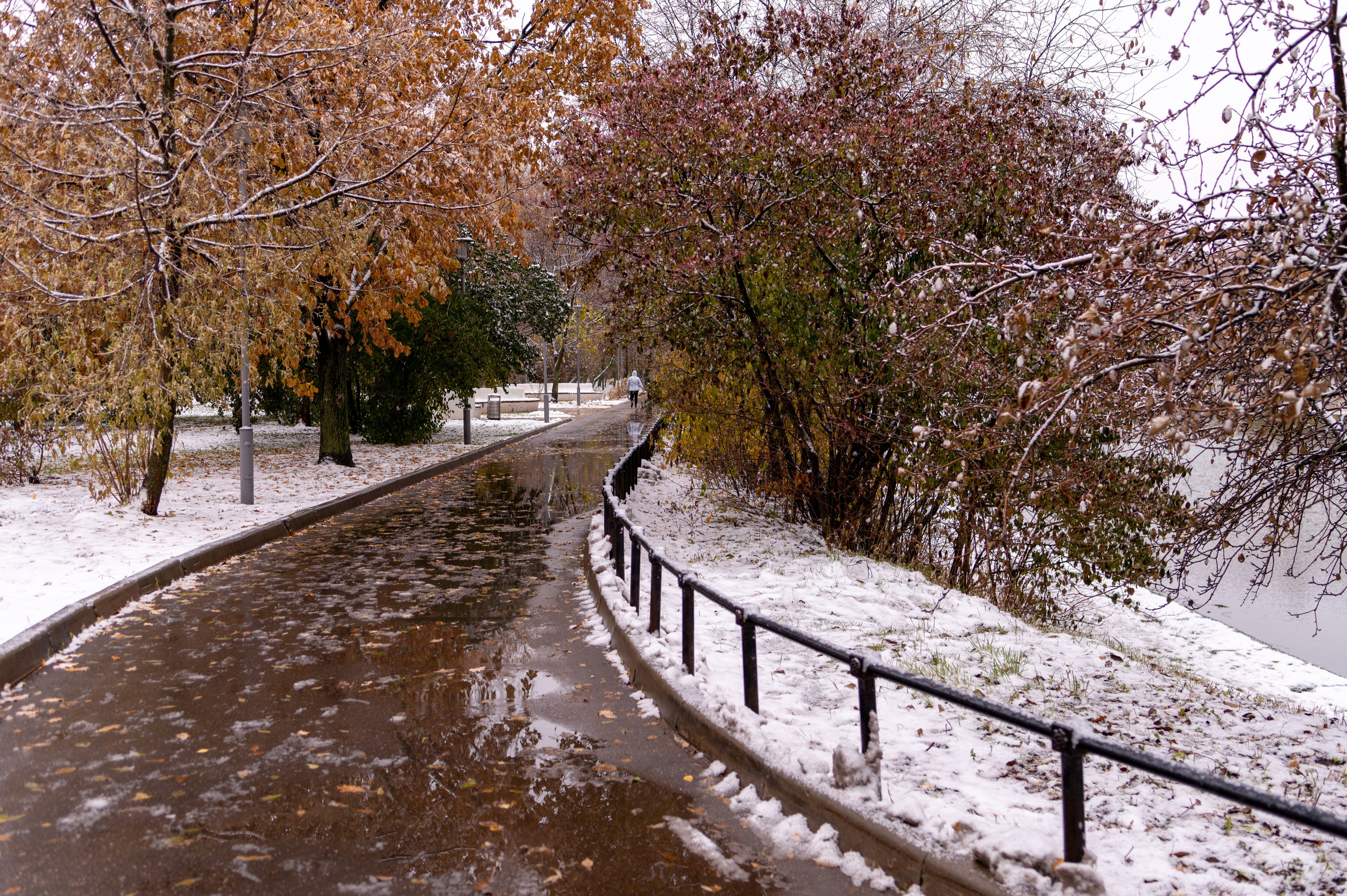 20231030 Тест Tamron SP 35 mm F/1.8. Дмитрий Ремизов. Фотография, как хобби