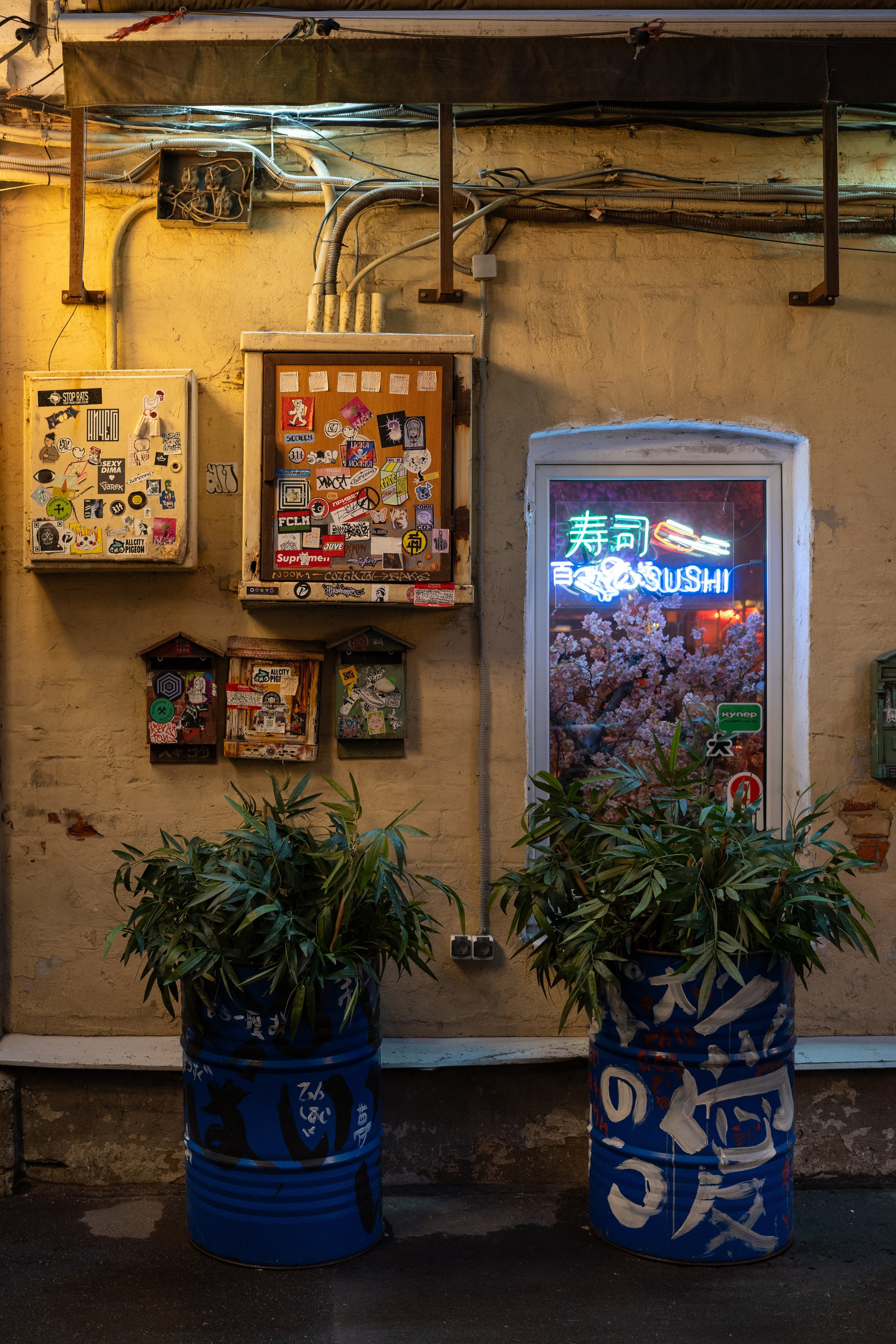 20241201 от Чеховской до Арбатской. Дмитрий Ремизов. Фотография, как хобби