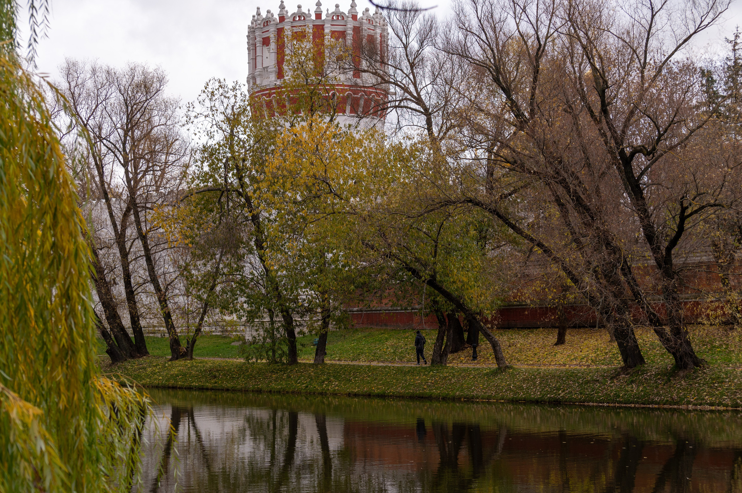 20221030 Новодевичий. Дмитрий Ремизов. Фотография, как хобби