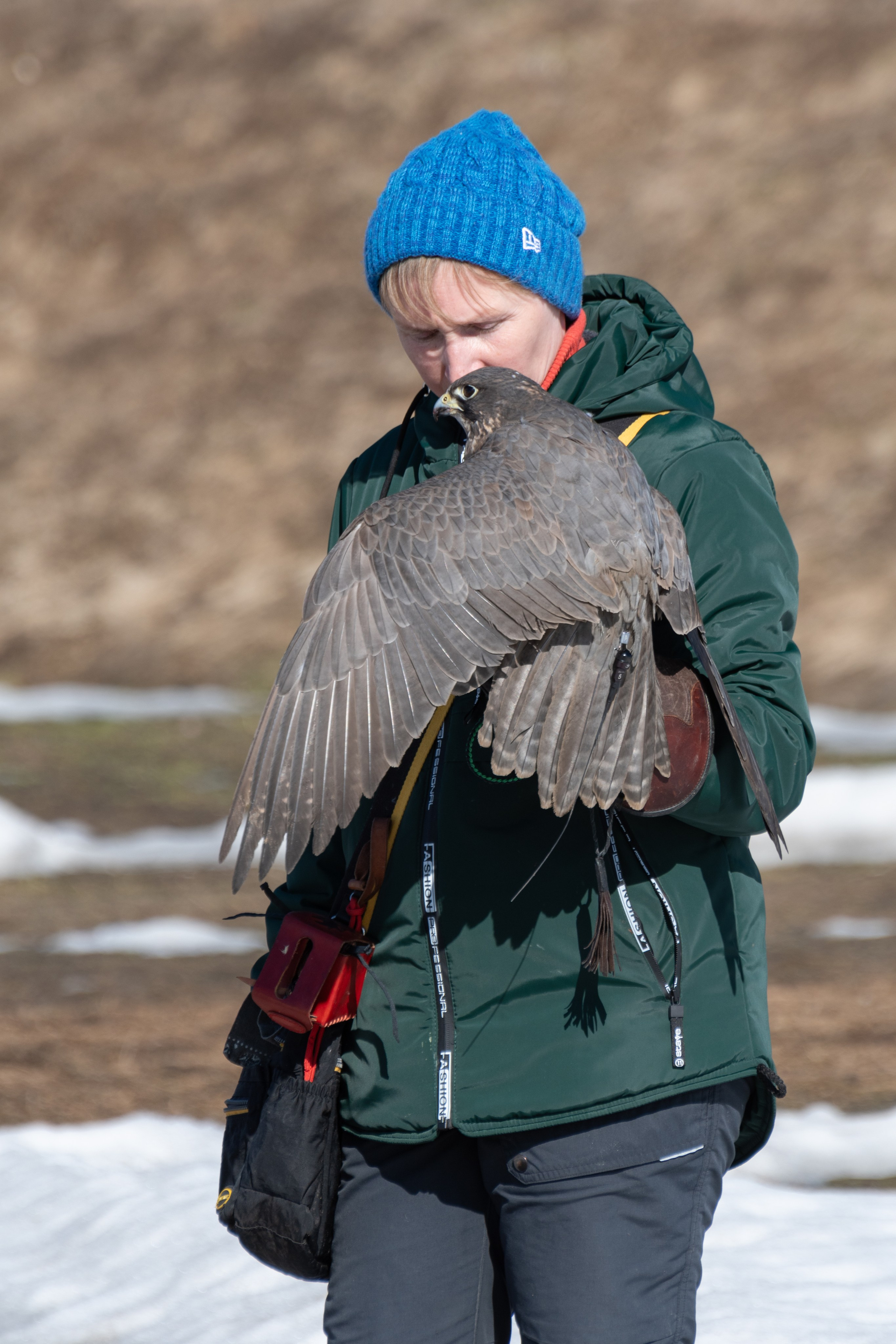 20220320 Коломенское. Дмитрий Ремизов. Фотография, как хобби