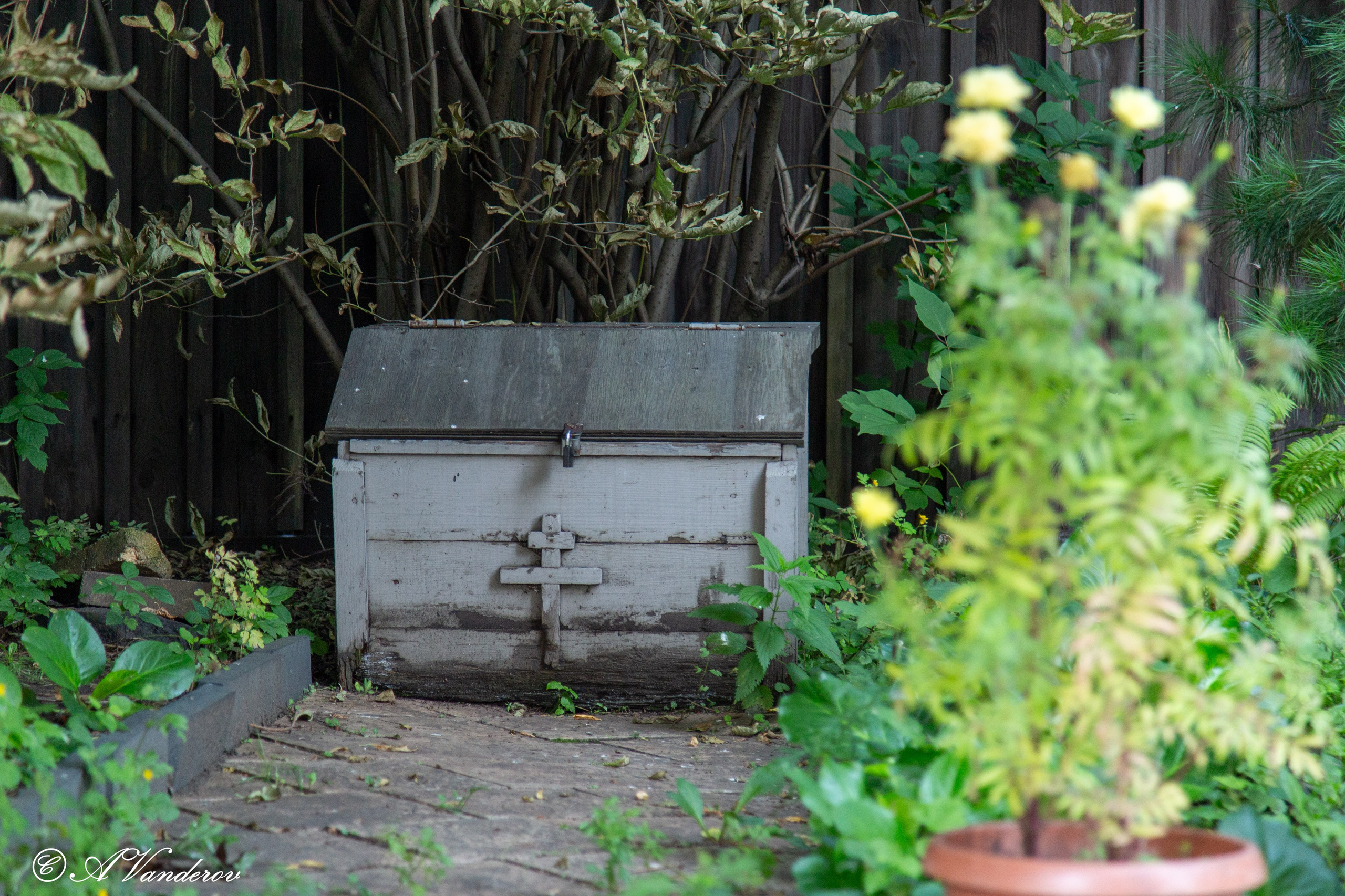 Храм Покрова Божьей Матери Тулун. Фотограф Омск | Александр Вандеров