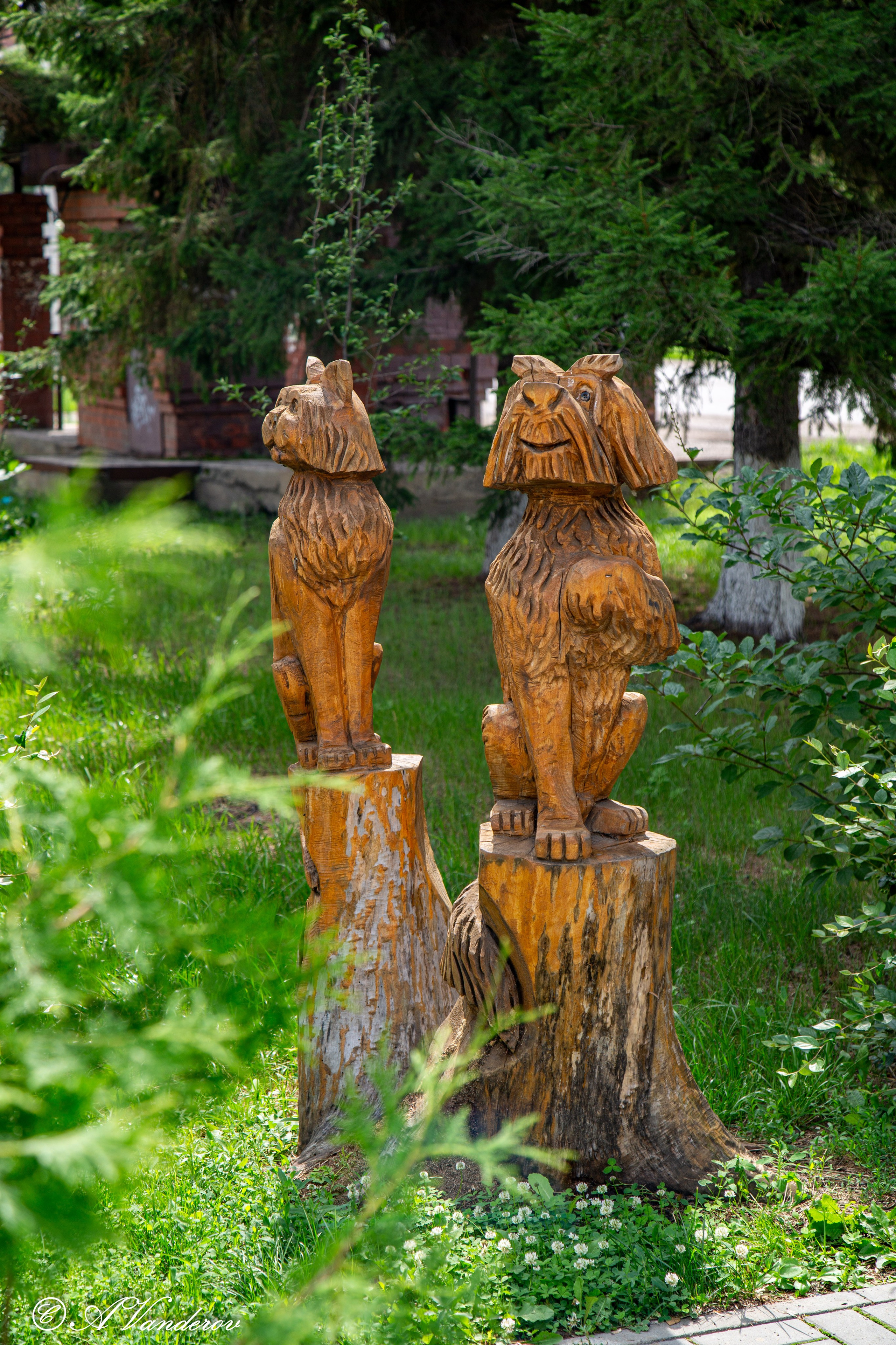 Калачинск 07.07.2024. Фотограф Омск | Александр Вандеров